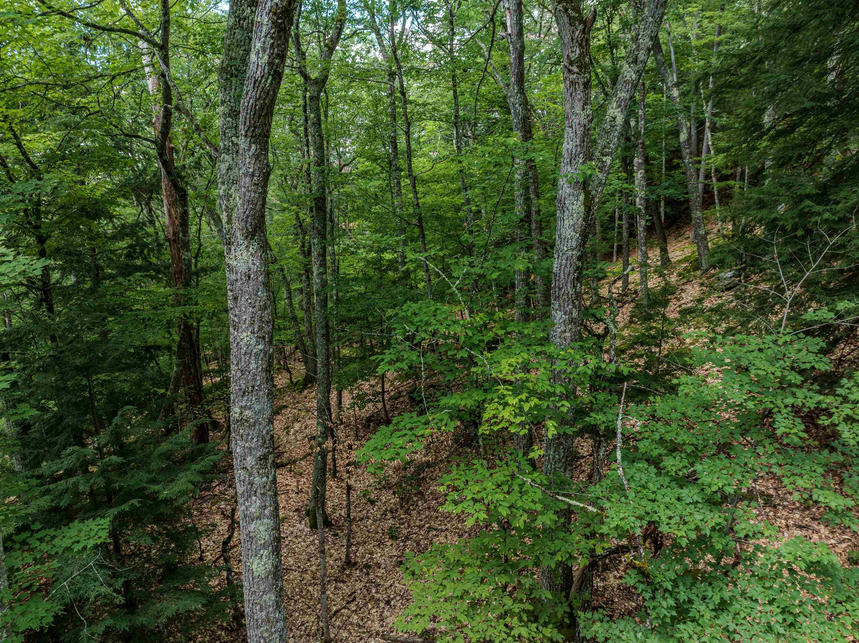 105 Beaver Pond Road Property Photo 48