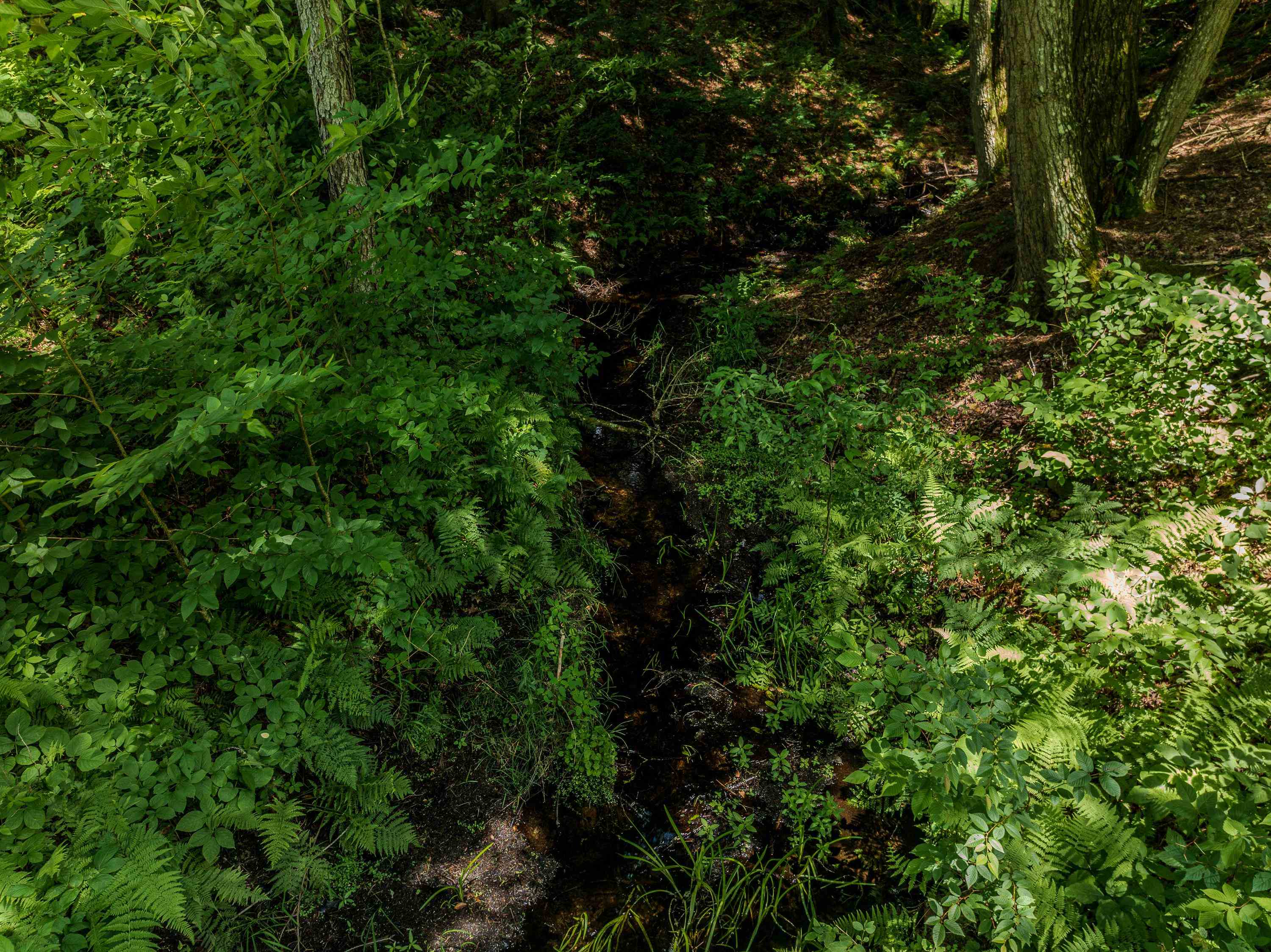 105 Beaver Pond Road Property Photo 51