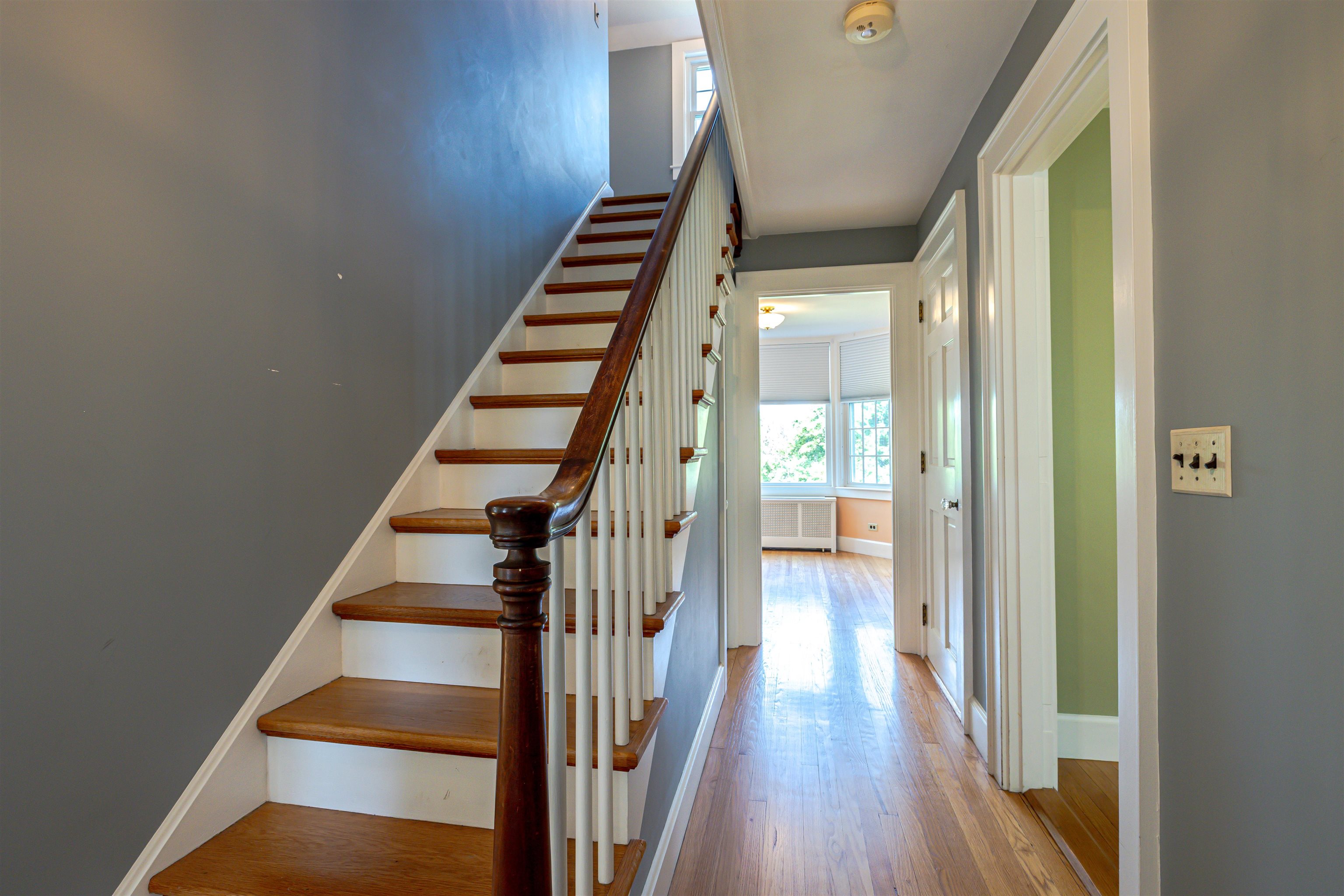38 Putney Hill Road Property Photo 9