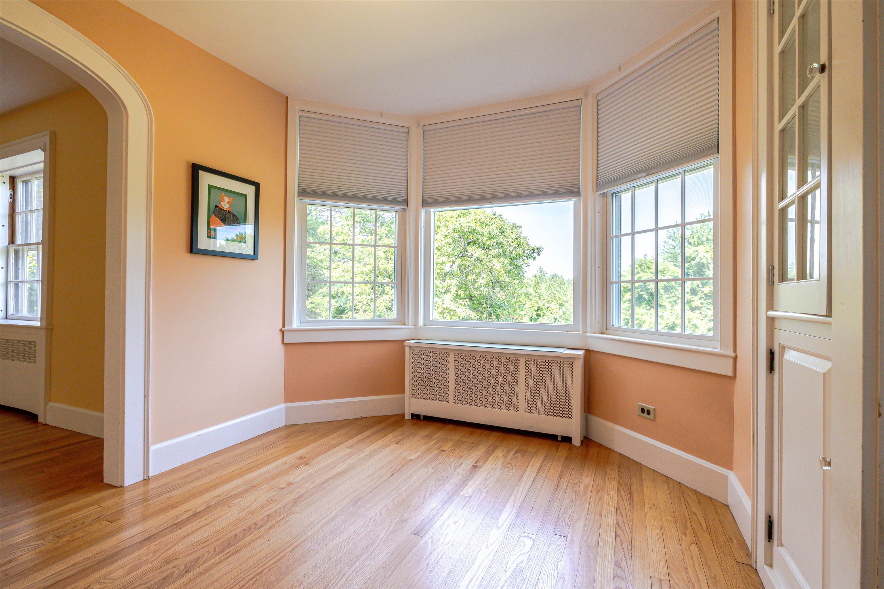 38 Putney Hill Road Property Photo 20