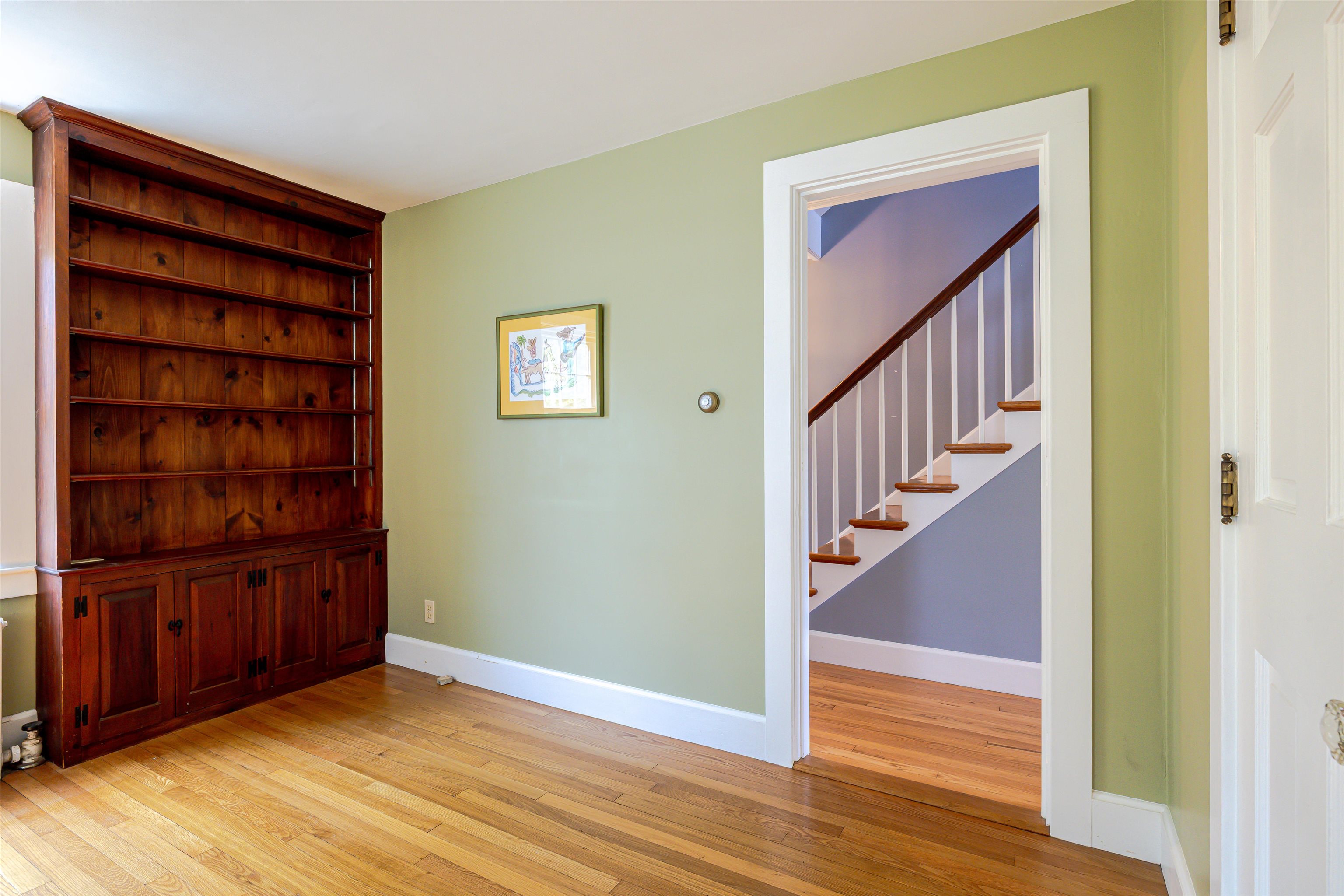 38 Putney Hill Road Property Photo 26