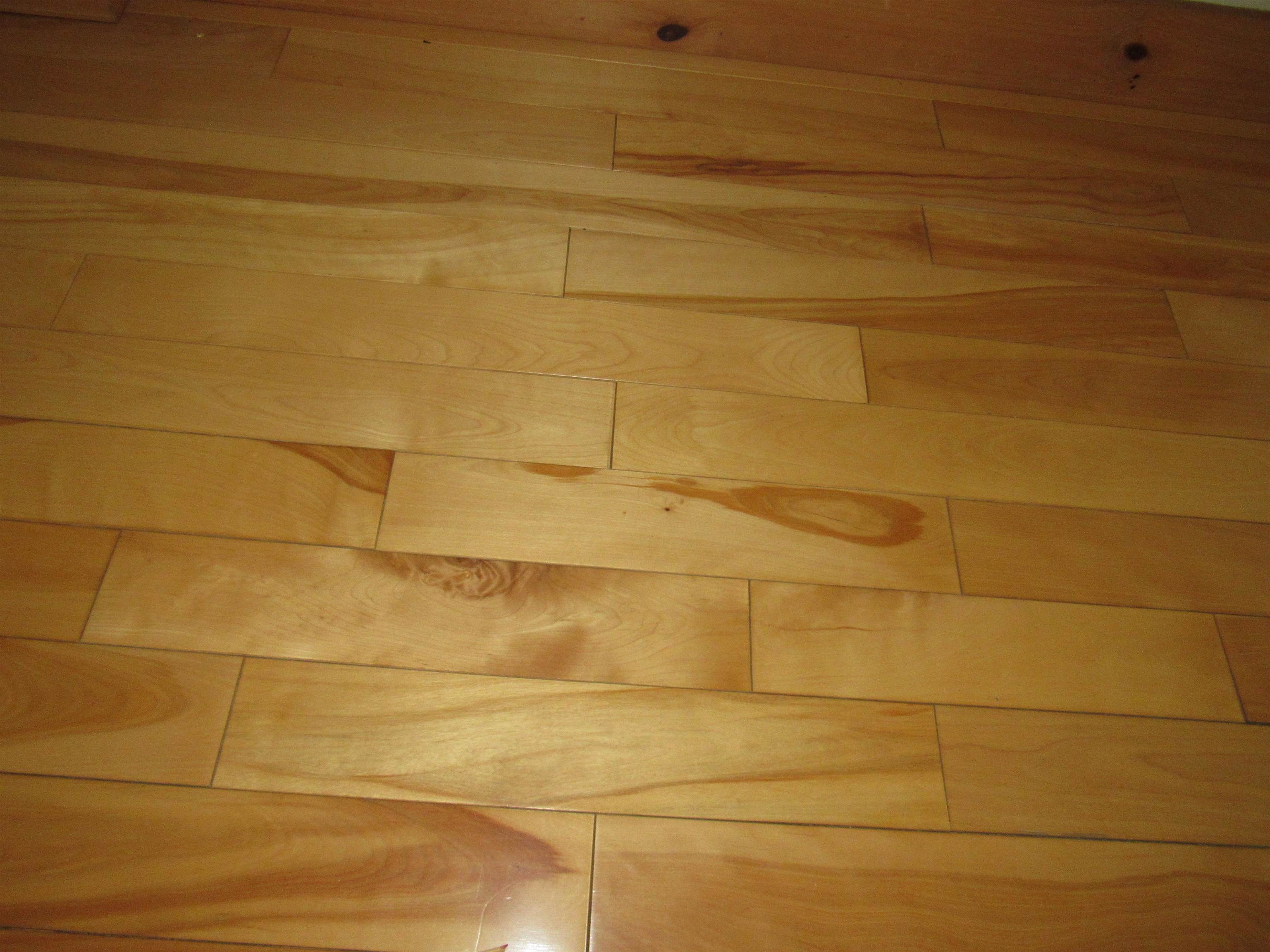 1030 Mount Vernon Street Property Photo 24