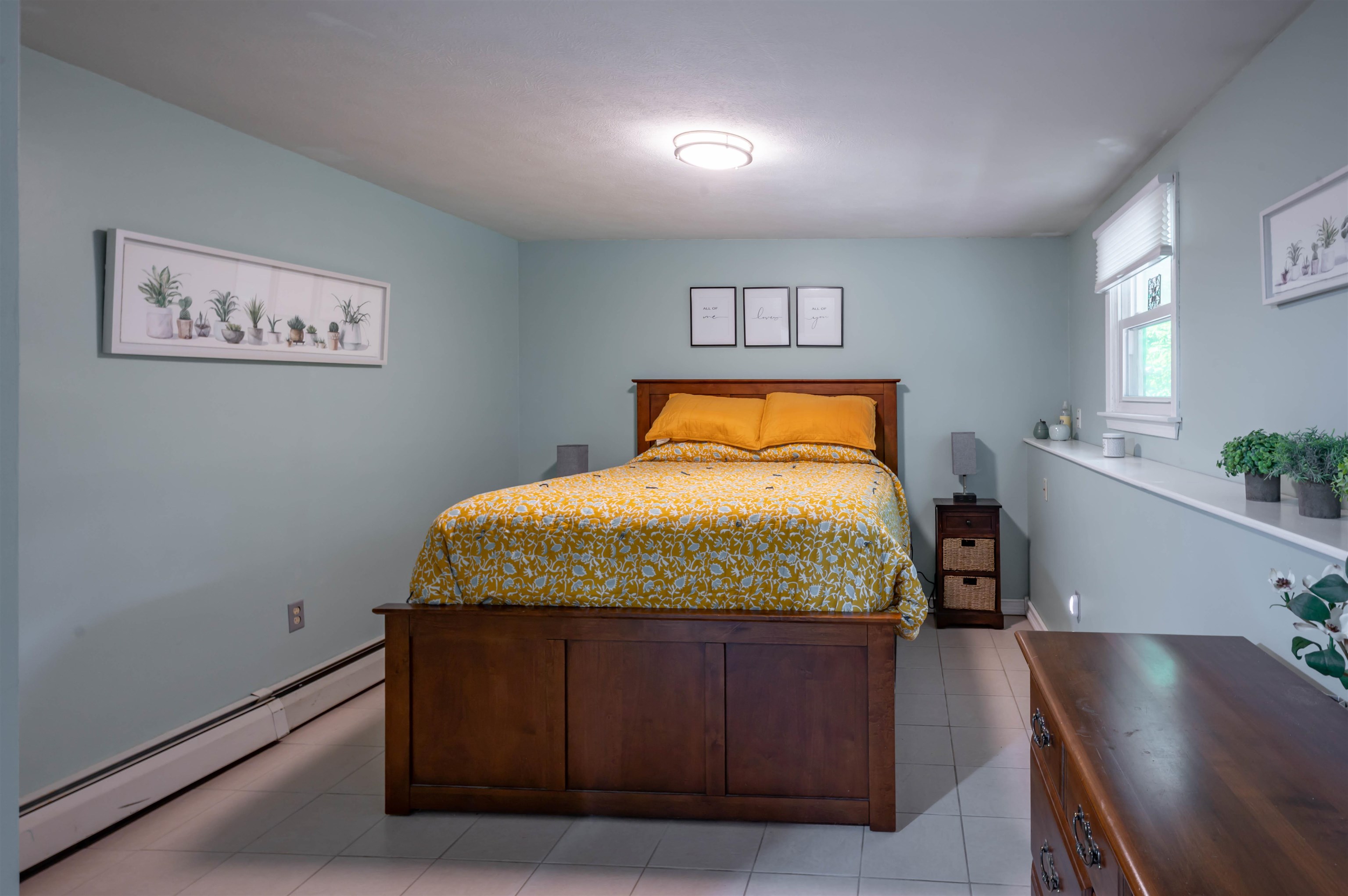 223 Baboosic Lake Road Property Photo 32