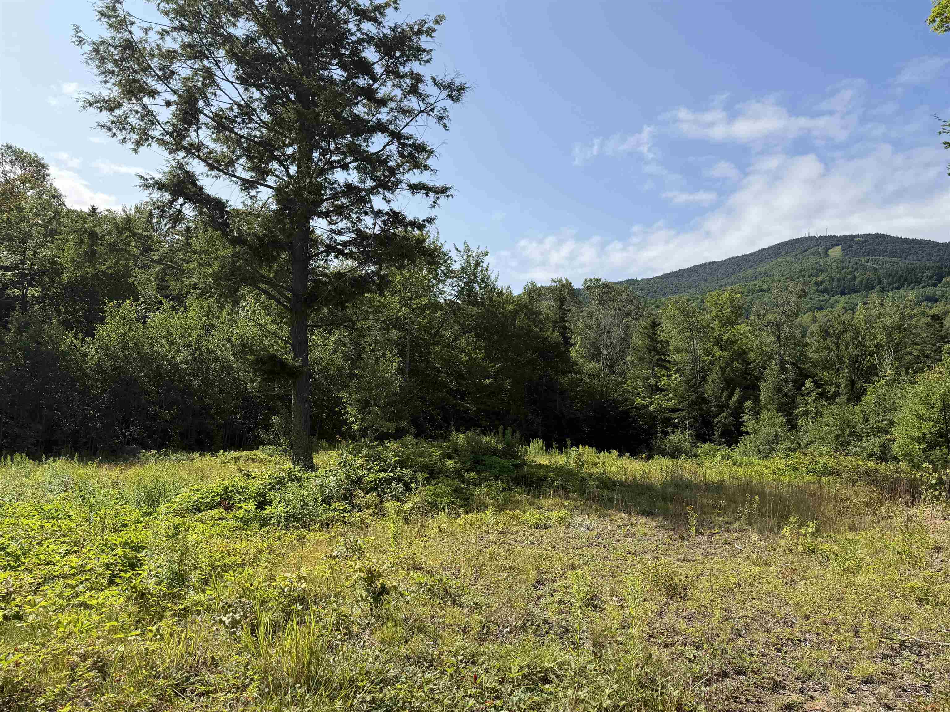 1559 Pinkham Road Property Photo 1