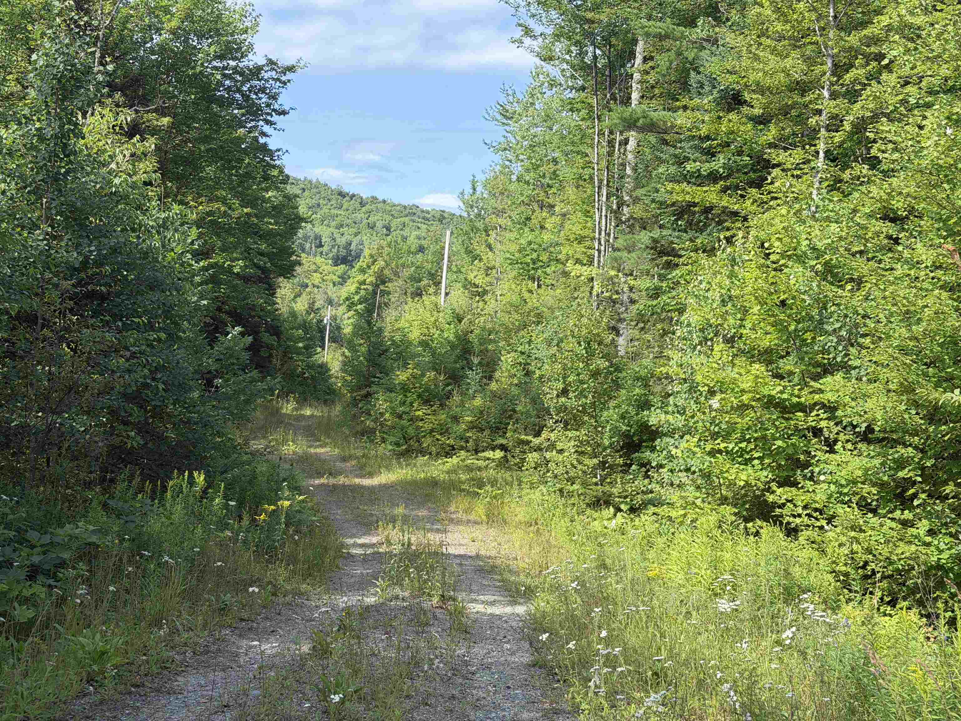 1559 Pinkham Road Property Photo 6