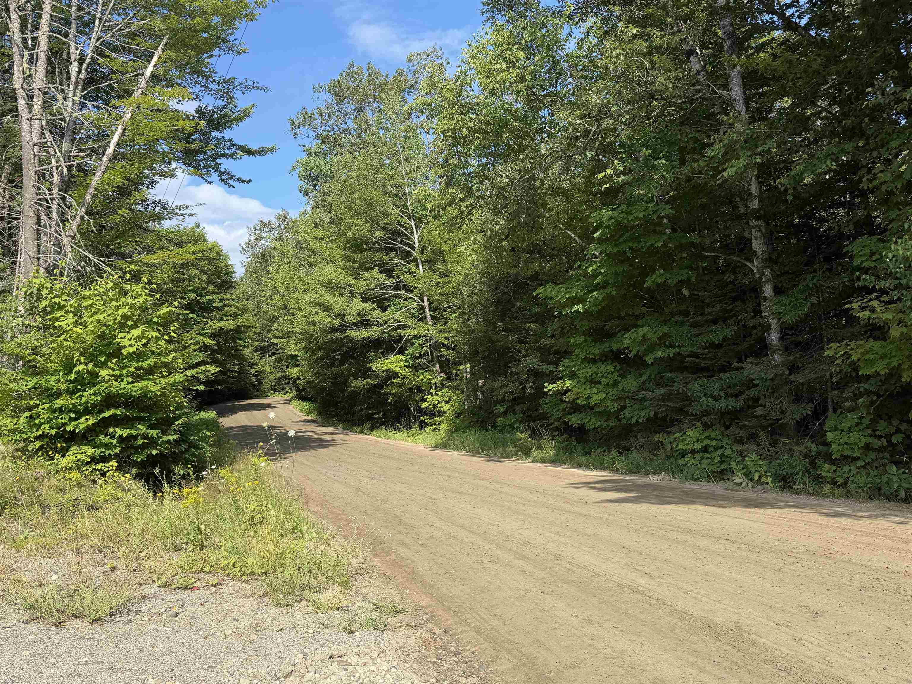1559 Pinkham Road Property Photo 7