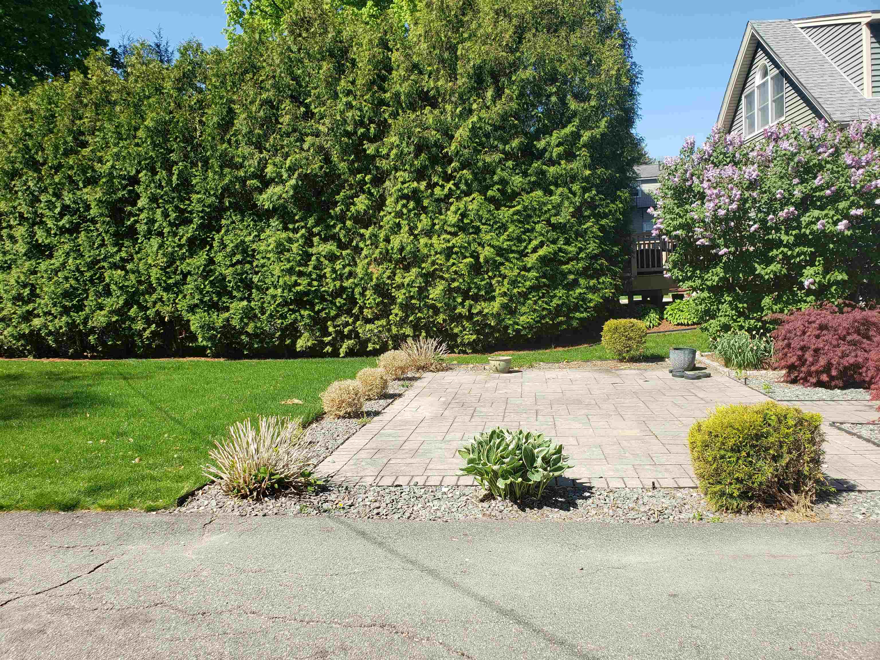 11 Taylor Street Property Photo 21