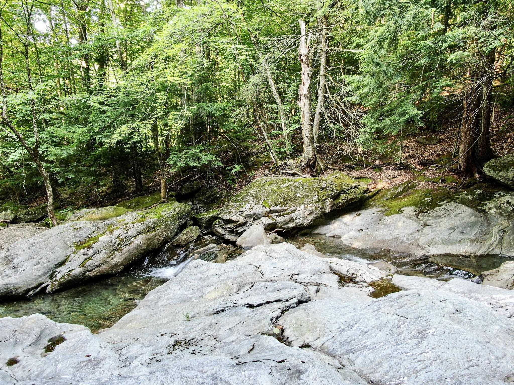 4643 Battleground Road Property Photo 48