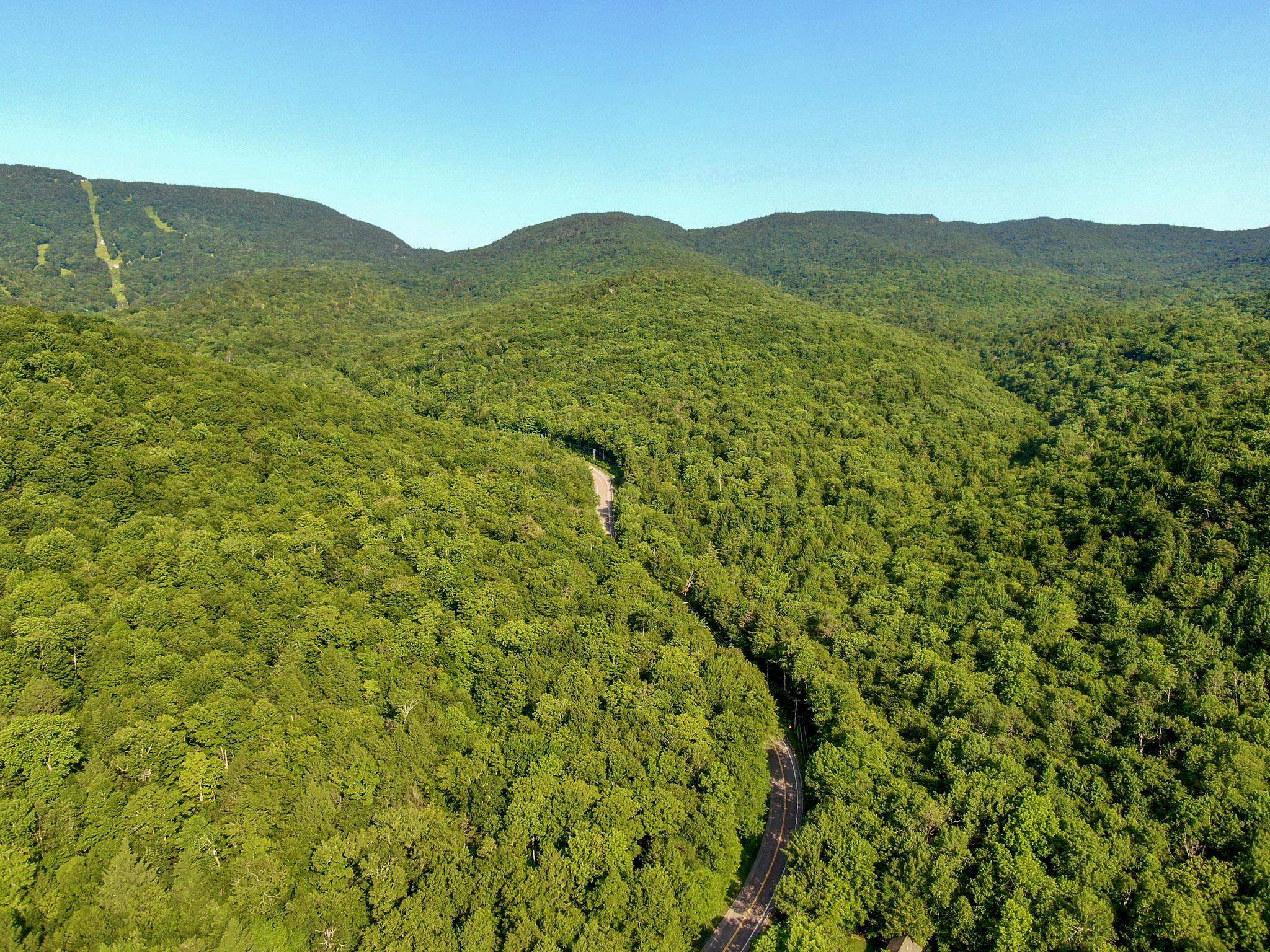 4643 Battleground Road Property Photo 60