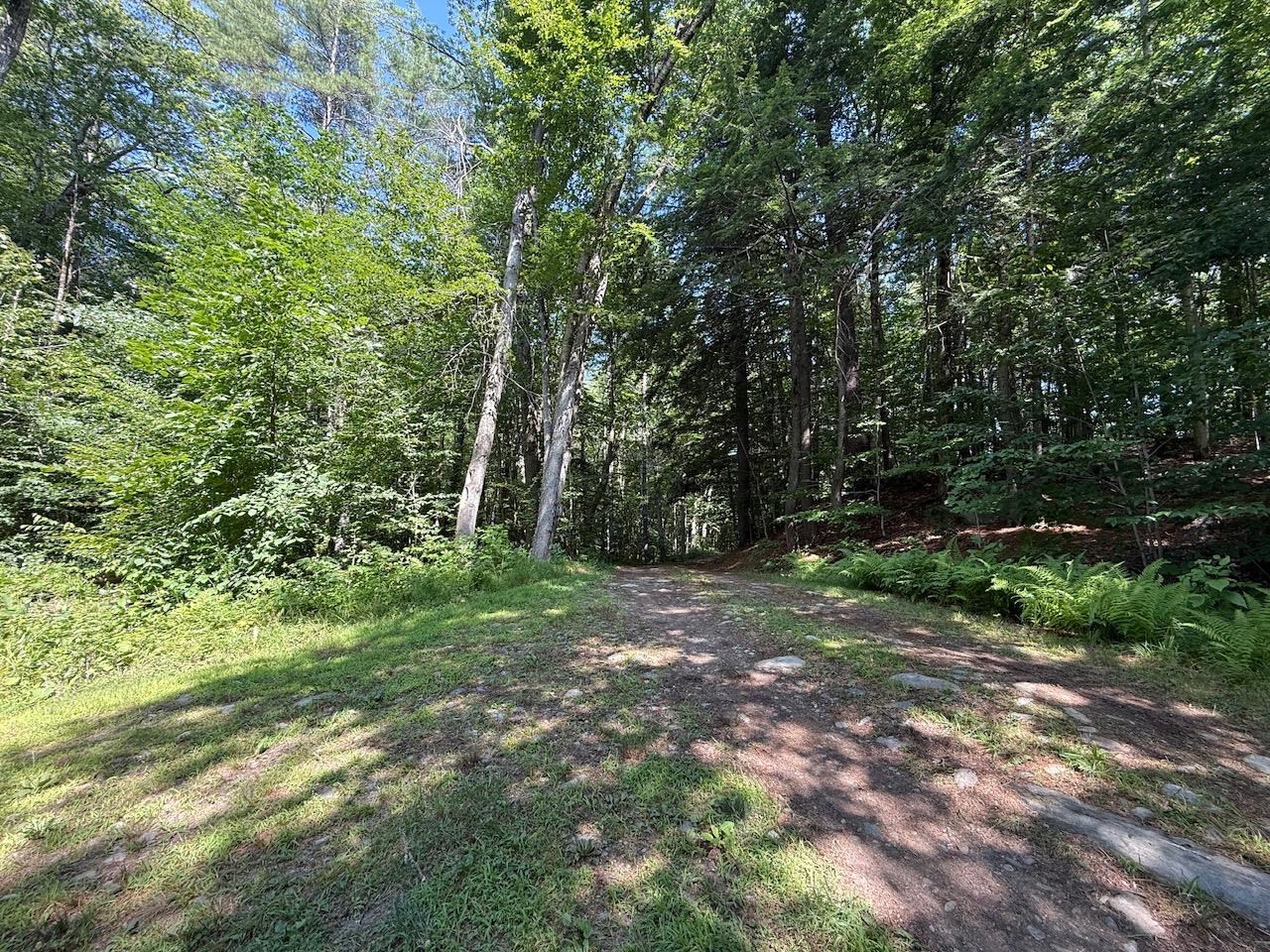 182 Partridge Lane Property Photo 6