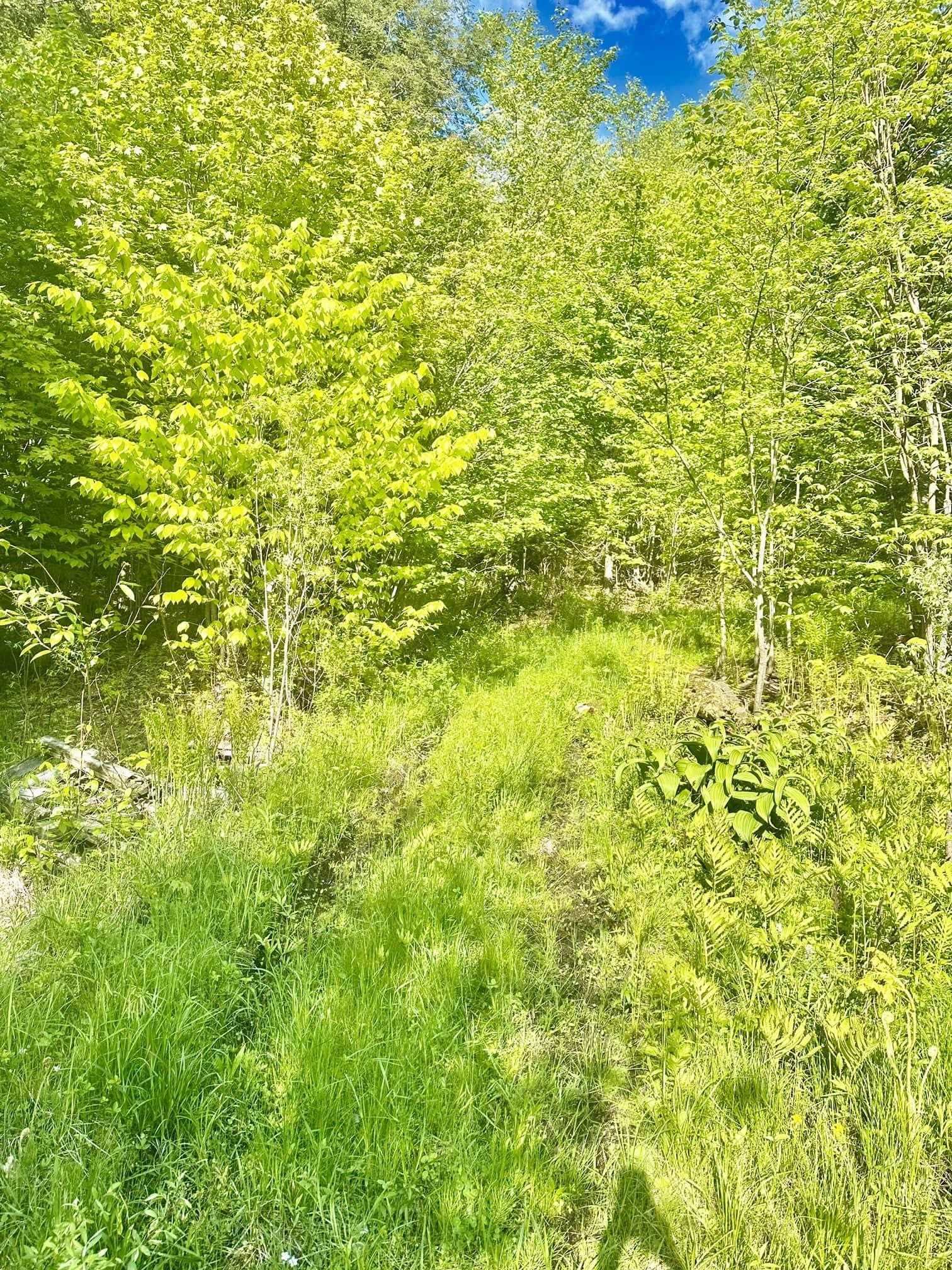 3342 East Hill Road Property Photo 19