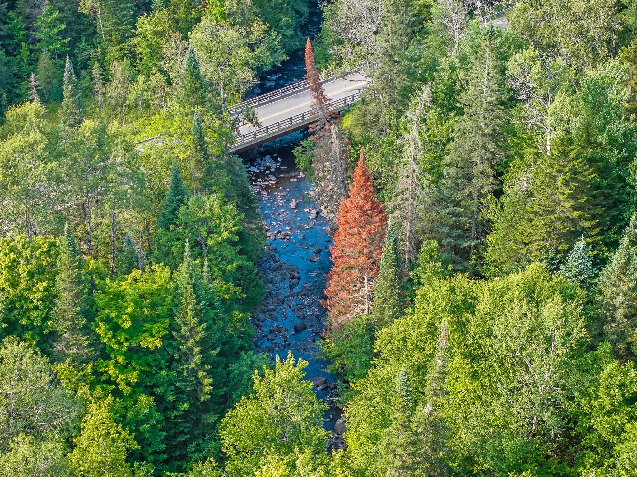0 Vt Route 114 Property Photo 23