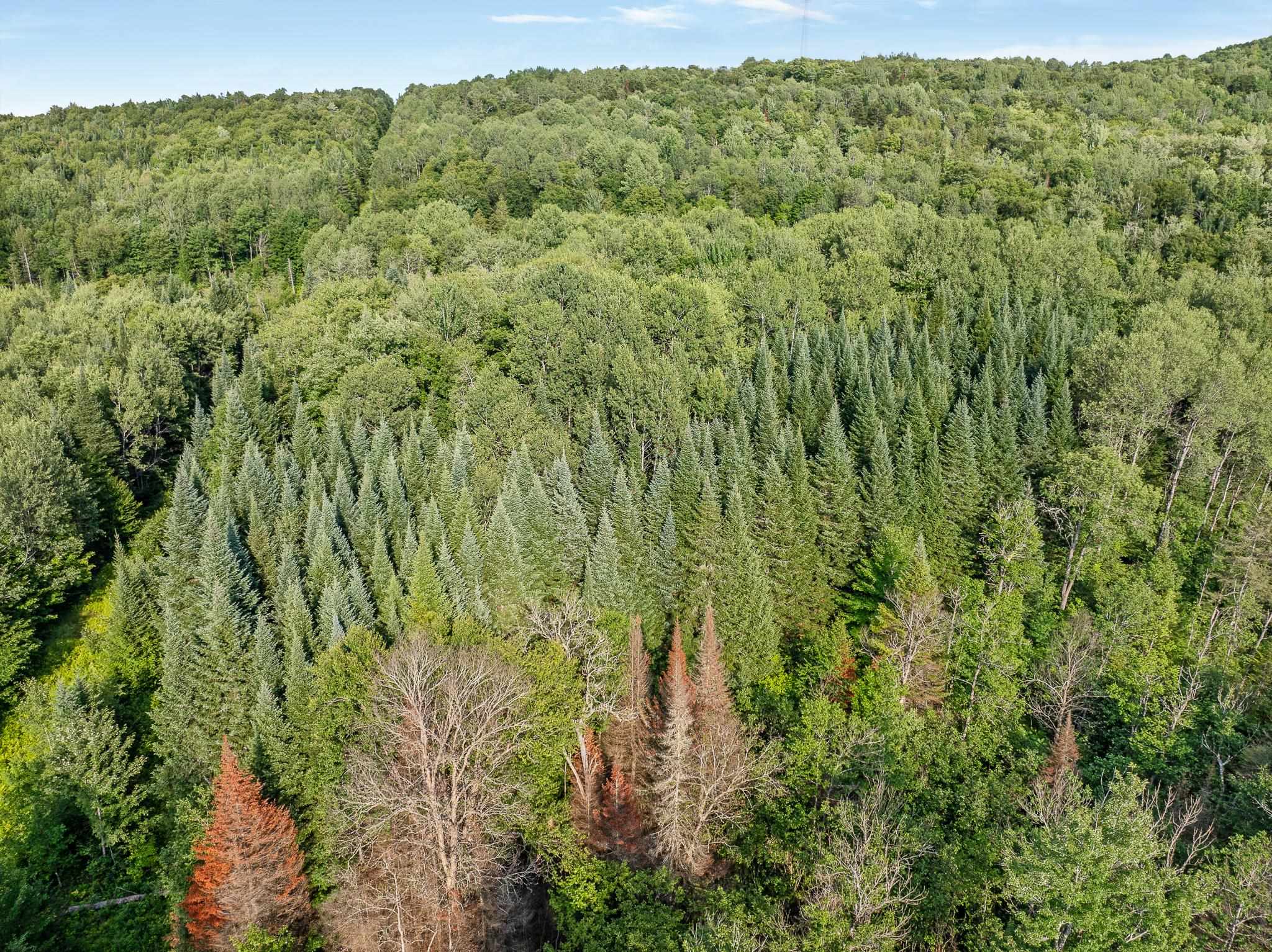 0 Vt Route 114 Property Photo 24