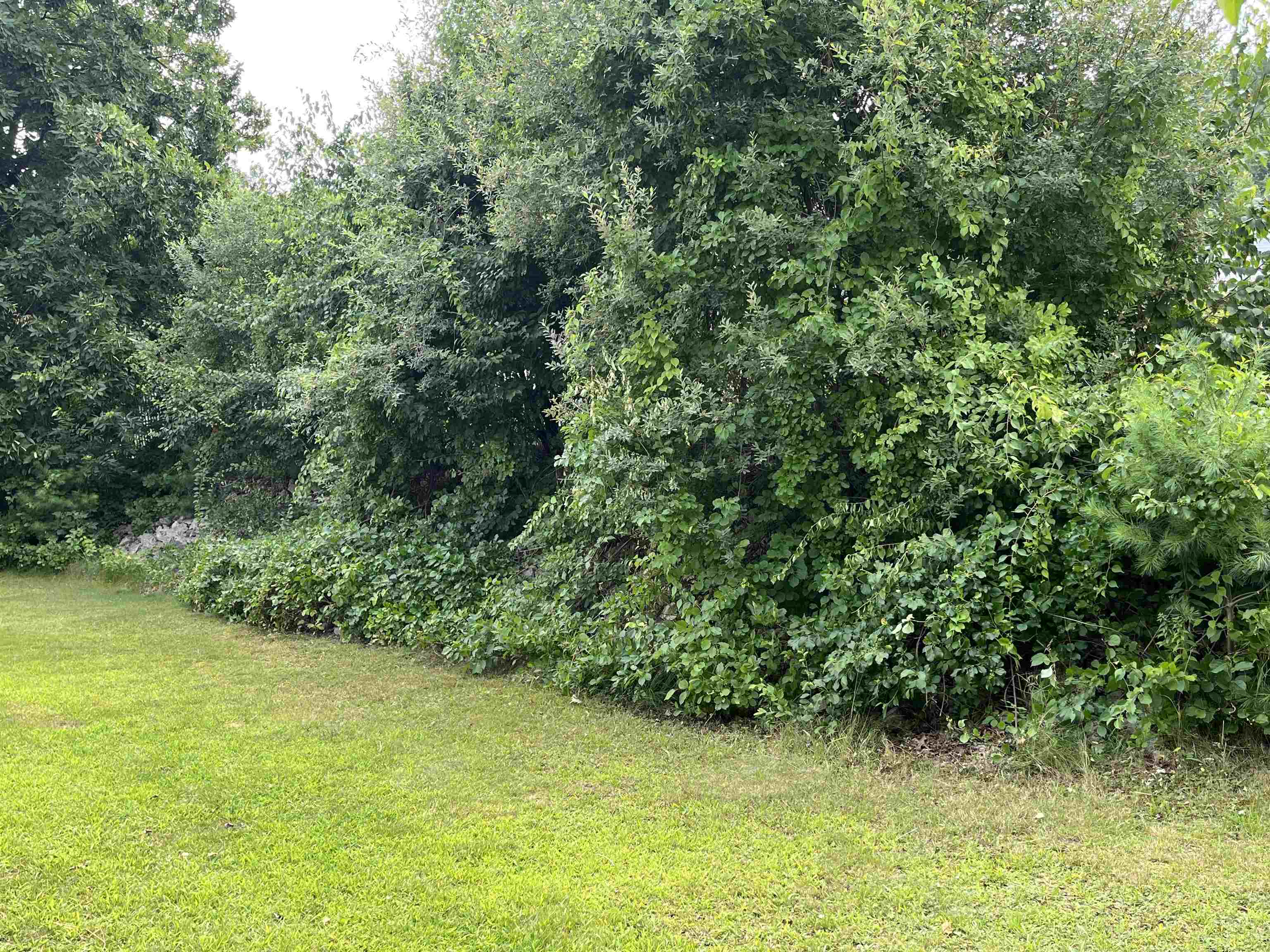 53 Coral Lane Property Photo 4