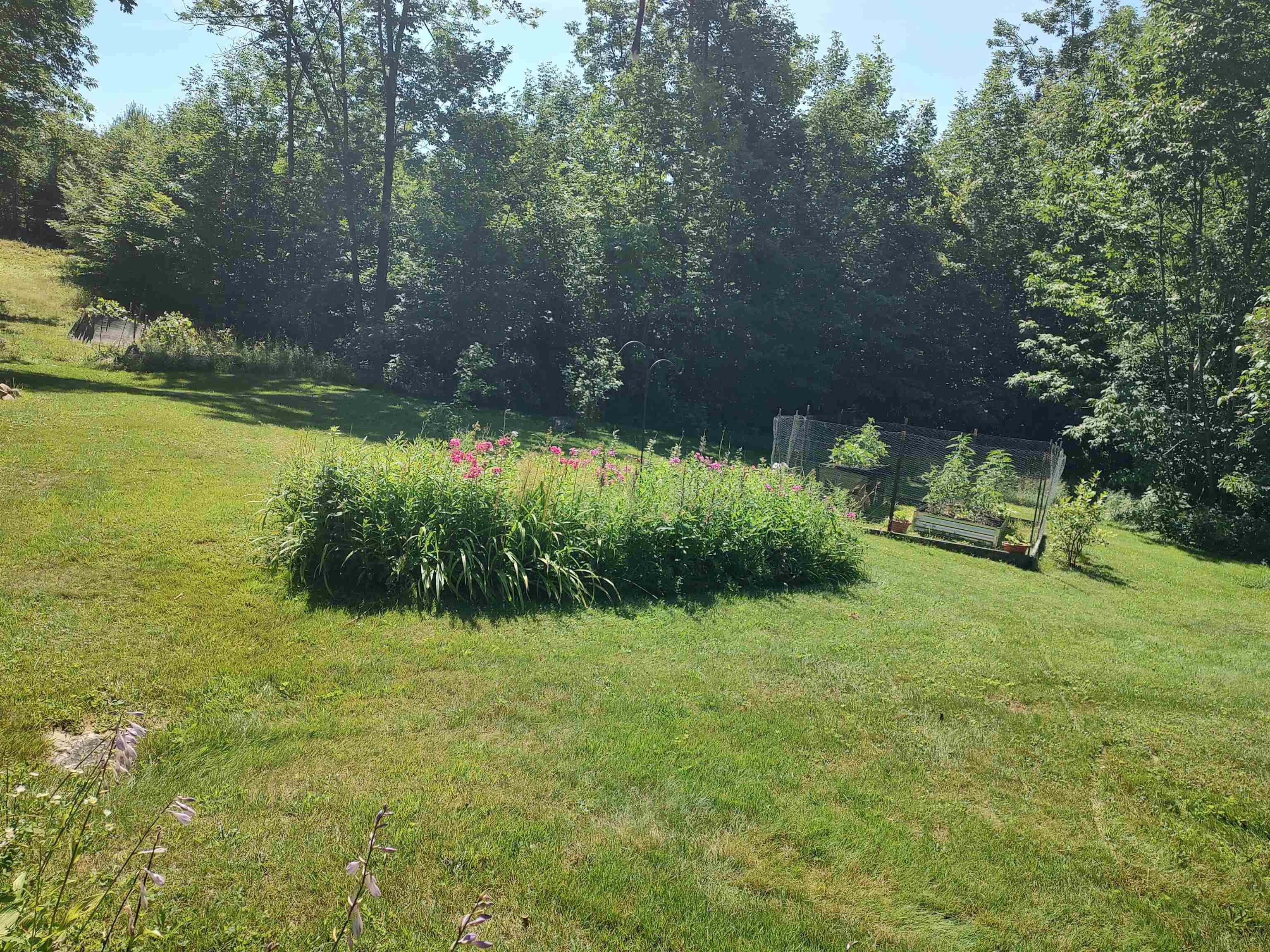 1608 Braintree Hill Road Property Photo 35