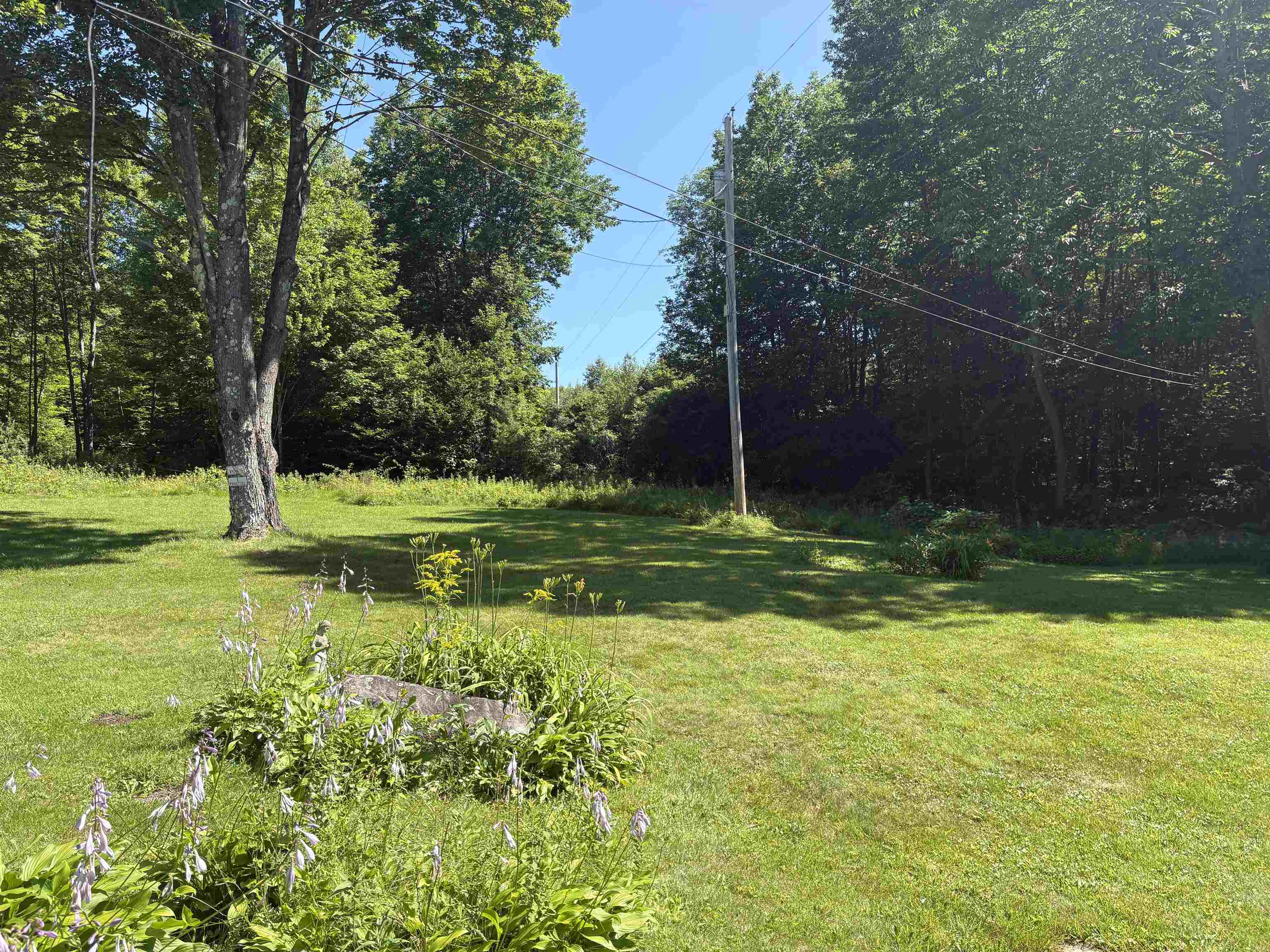 1608 Braintree Hill Road Property Photo 39