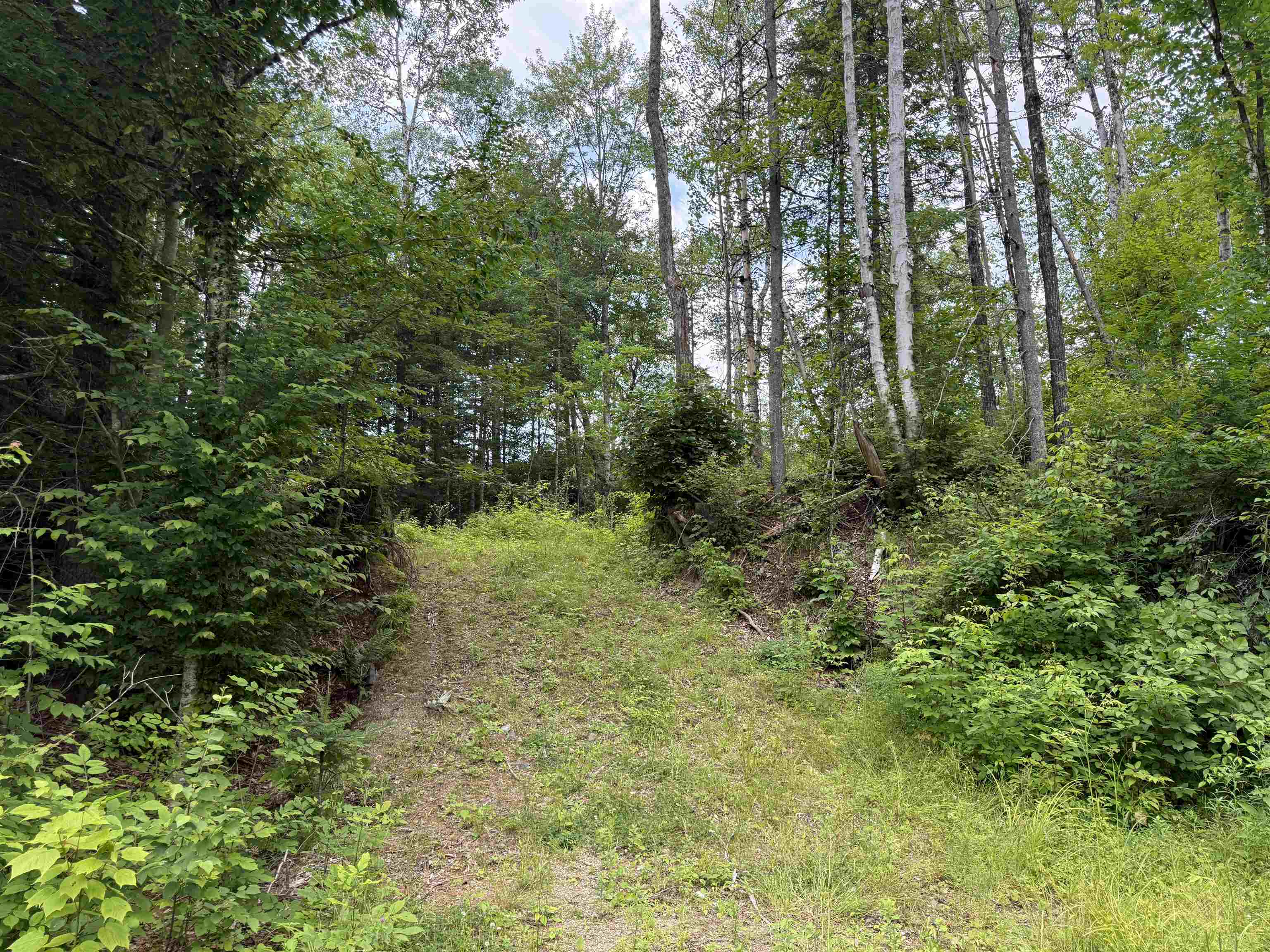 Lot 5 Vt Route 102 Property Photo 1