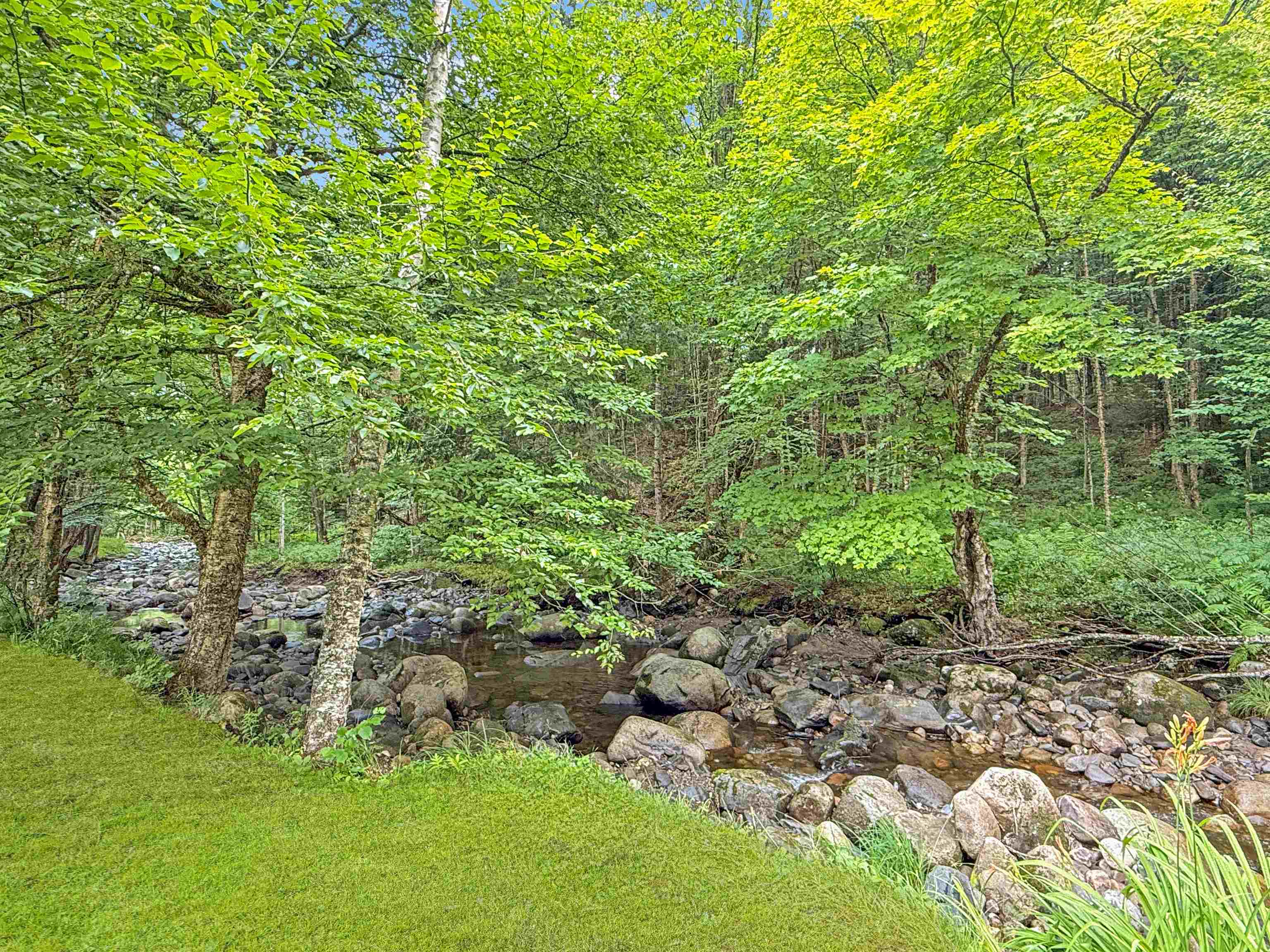 215 Mill Brook Road Property Photo 2