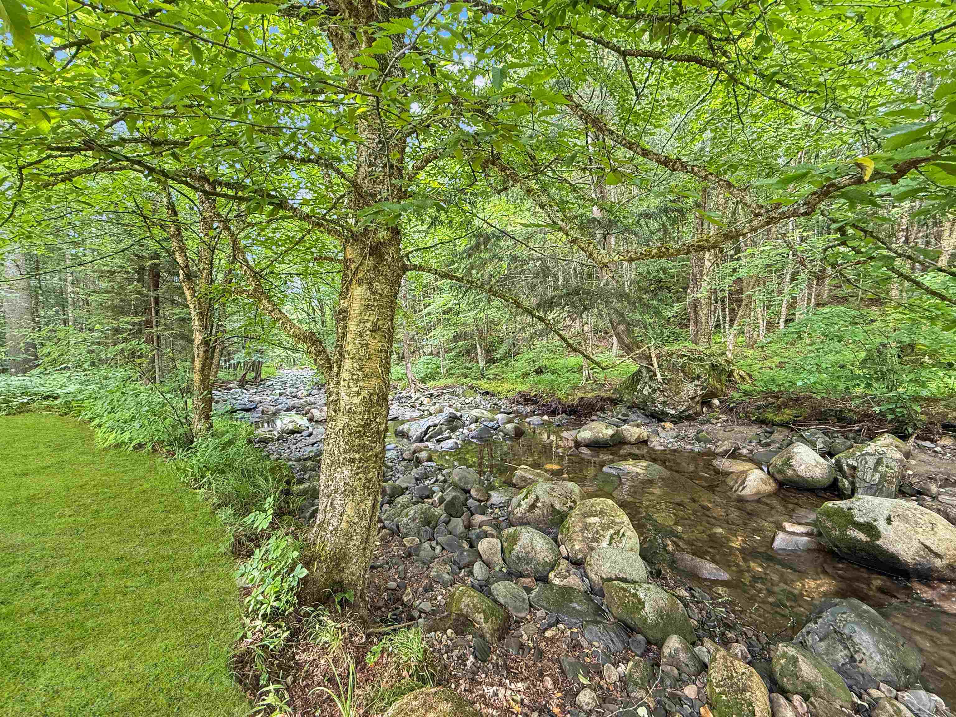 215 Mill Brook Road Property Photo 34