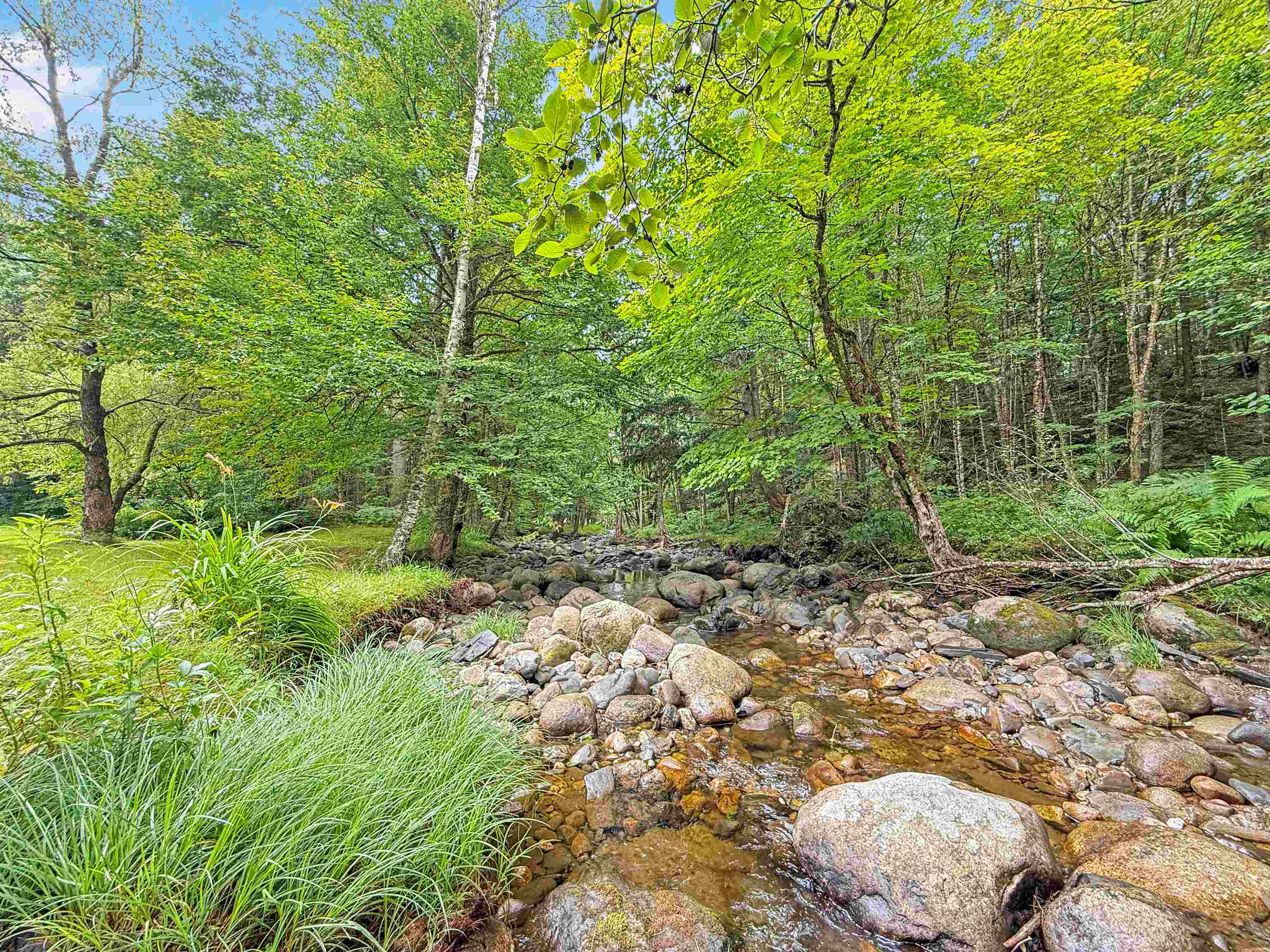 215 Mill Brook Road Property Photo 35