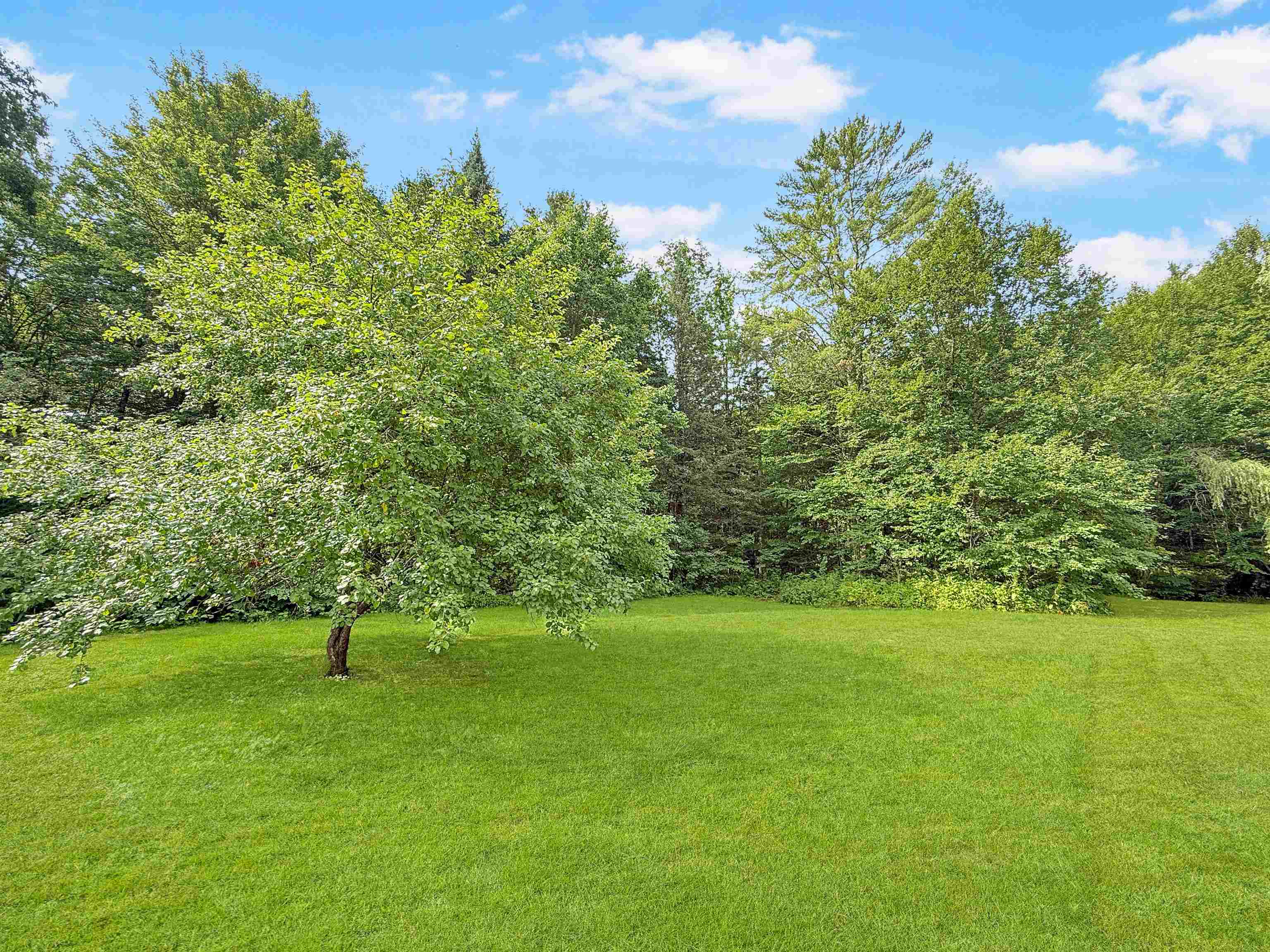 215 Mill Brook Road Property Photo 37