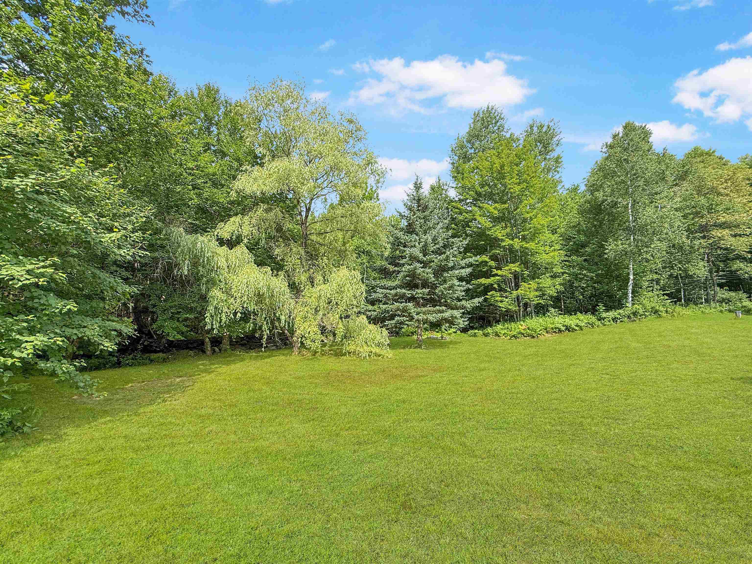 215 Mill Brook Road Property Photo 38