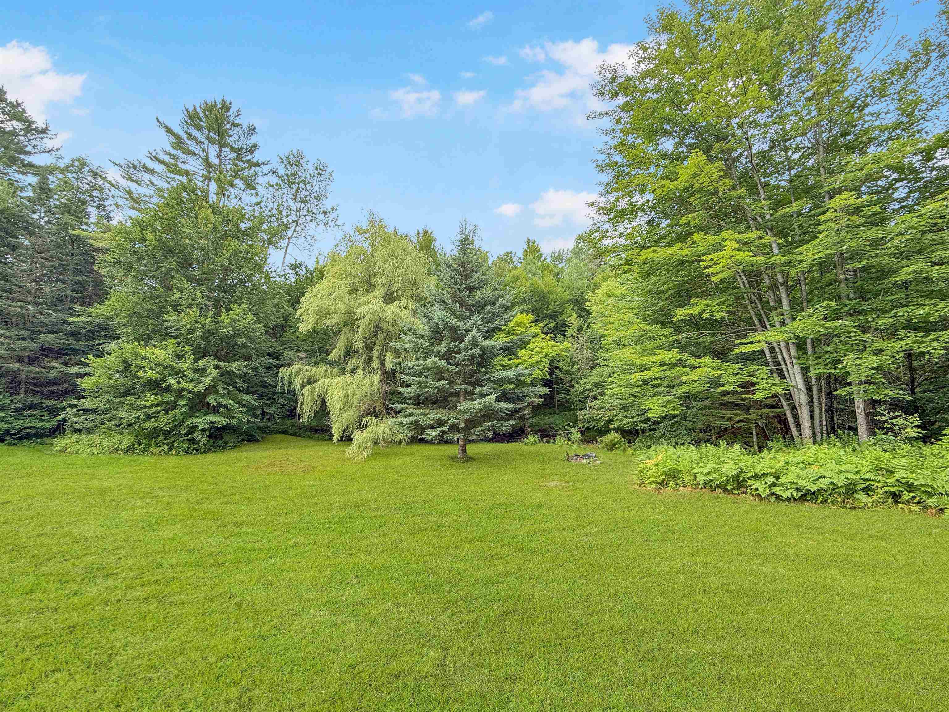 215 Mill Brook Road Property Photo 39