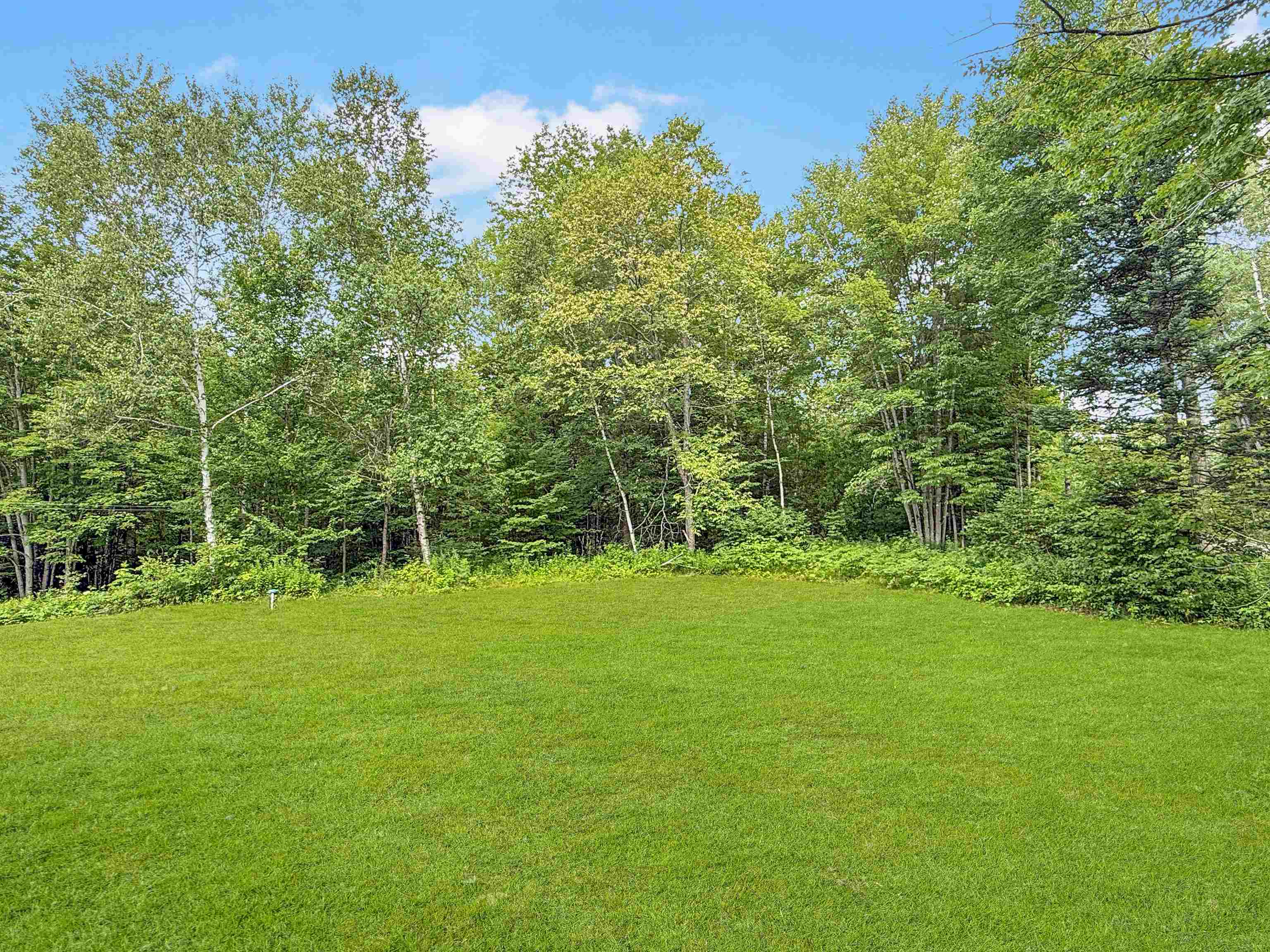 215 Mill Brook Road Property Photo 40