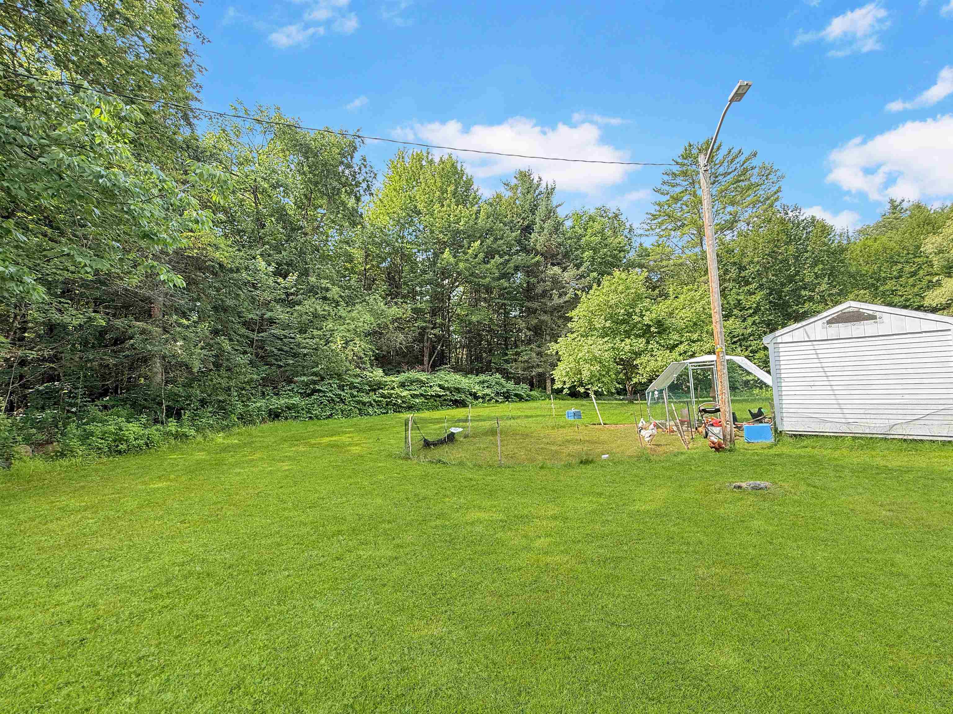 215 Mill Brook Road Property Photo 41