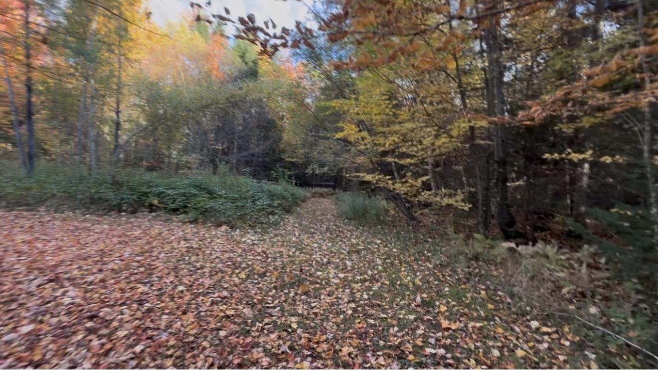 21 Maple Hill Road Property Photo 4