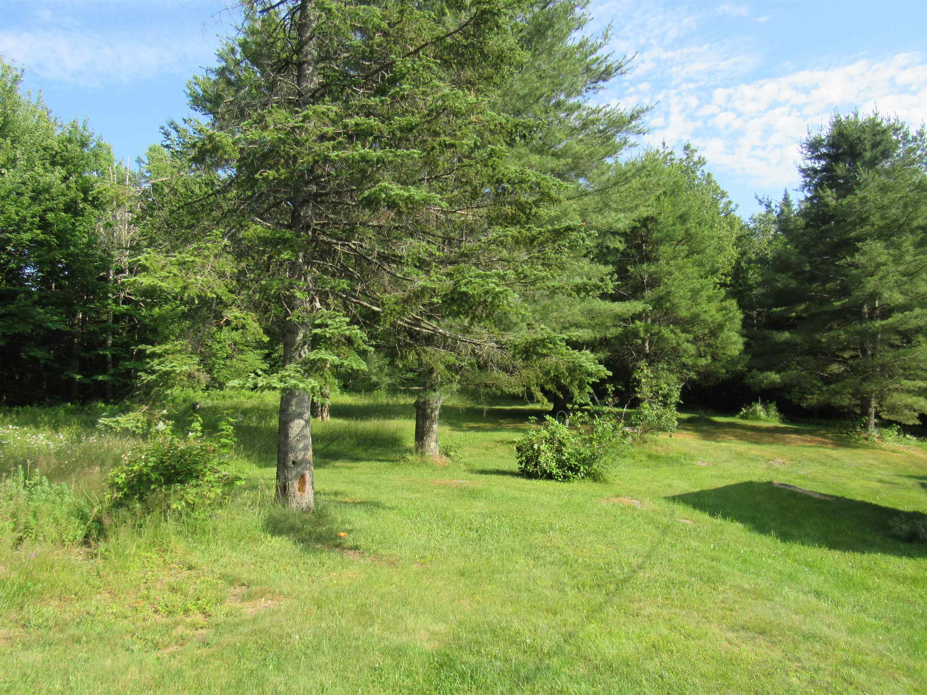 21 Maple Hill Road Property Photo 10