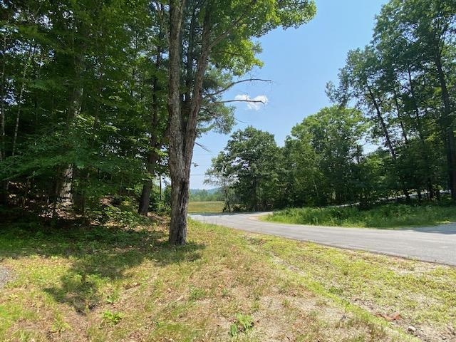 96 Nelson Hill Road Property Photo 8