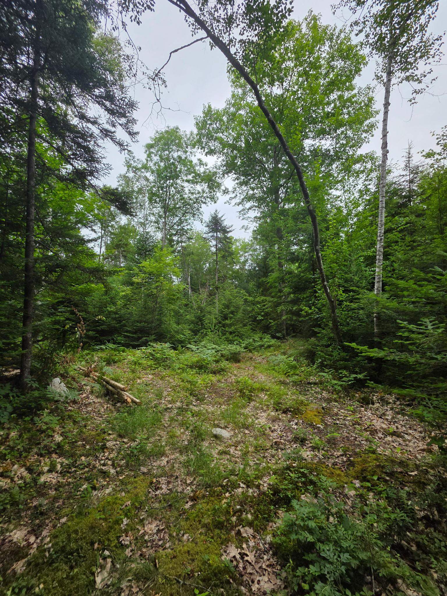 00 Stimson Road Property Photo 7
