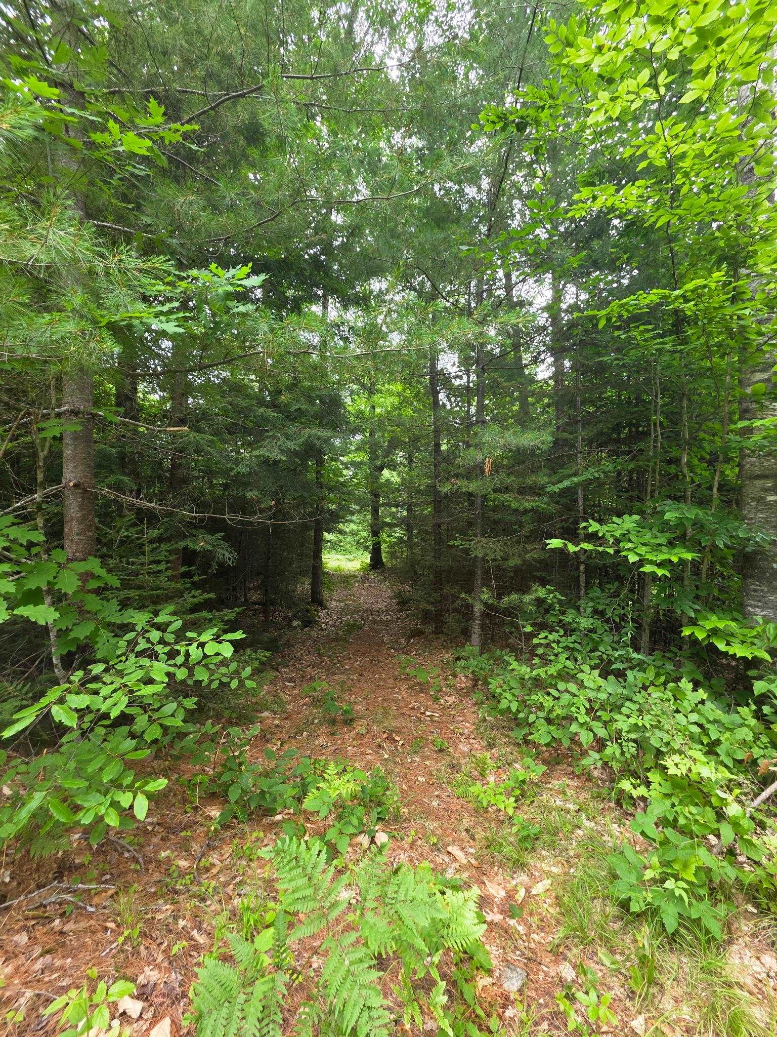 00 Stimson Road Property Photo 8