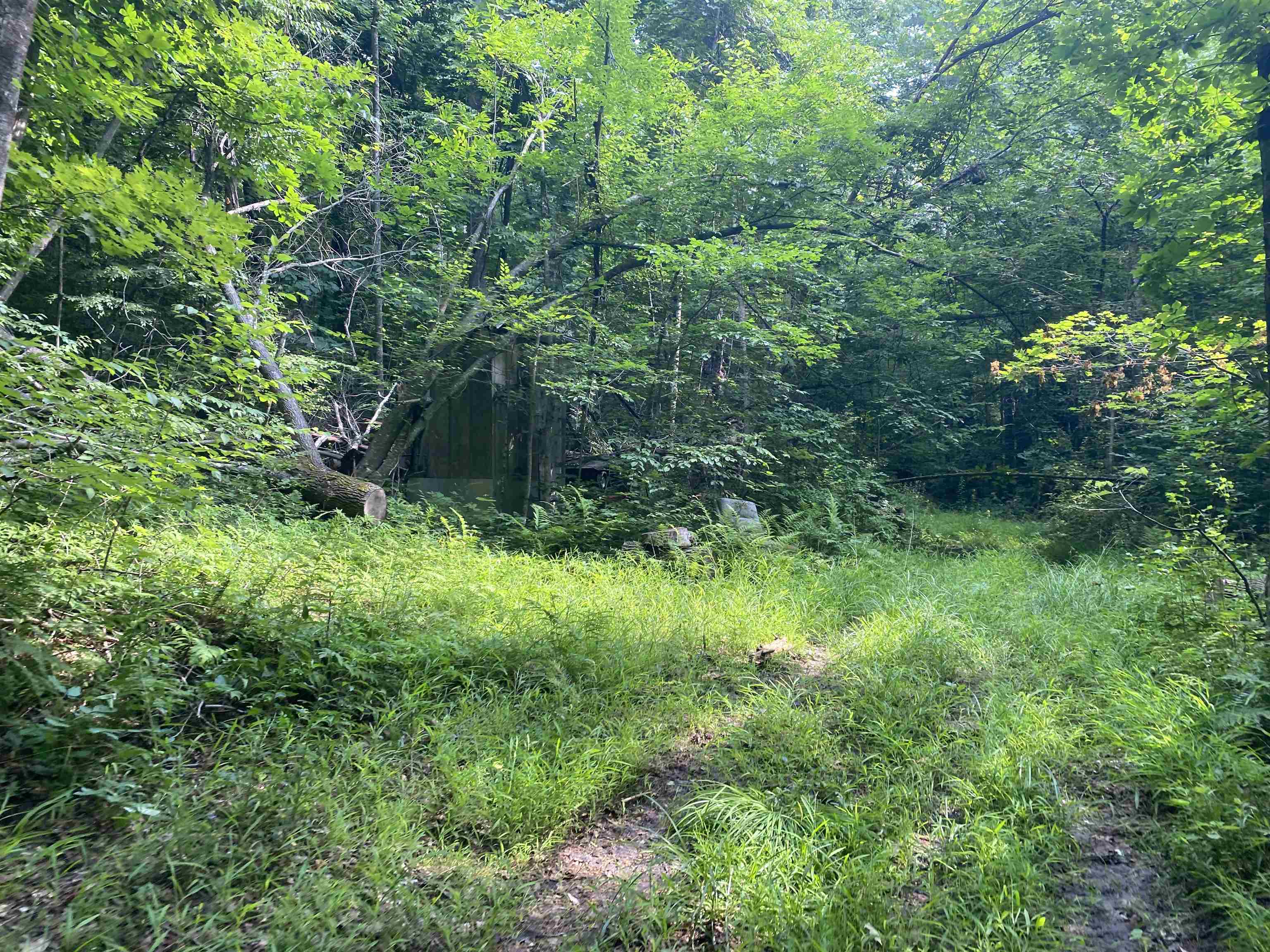 0 Sherman Lane Property Photo 1