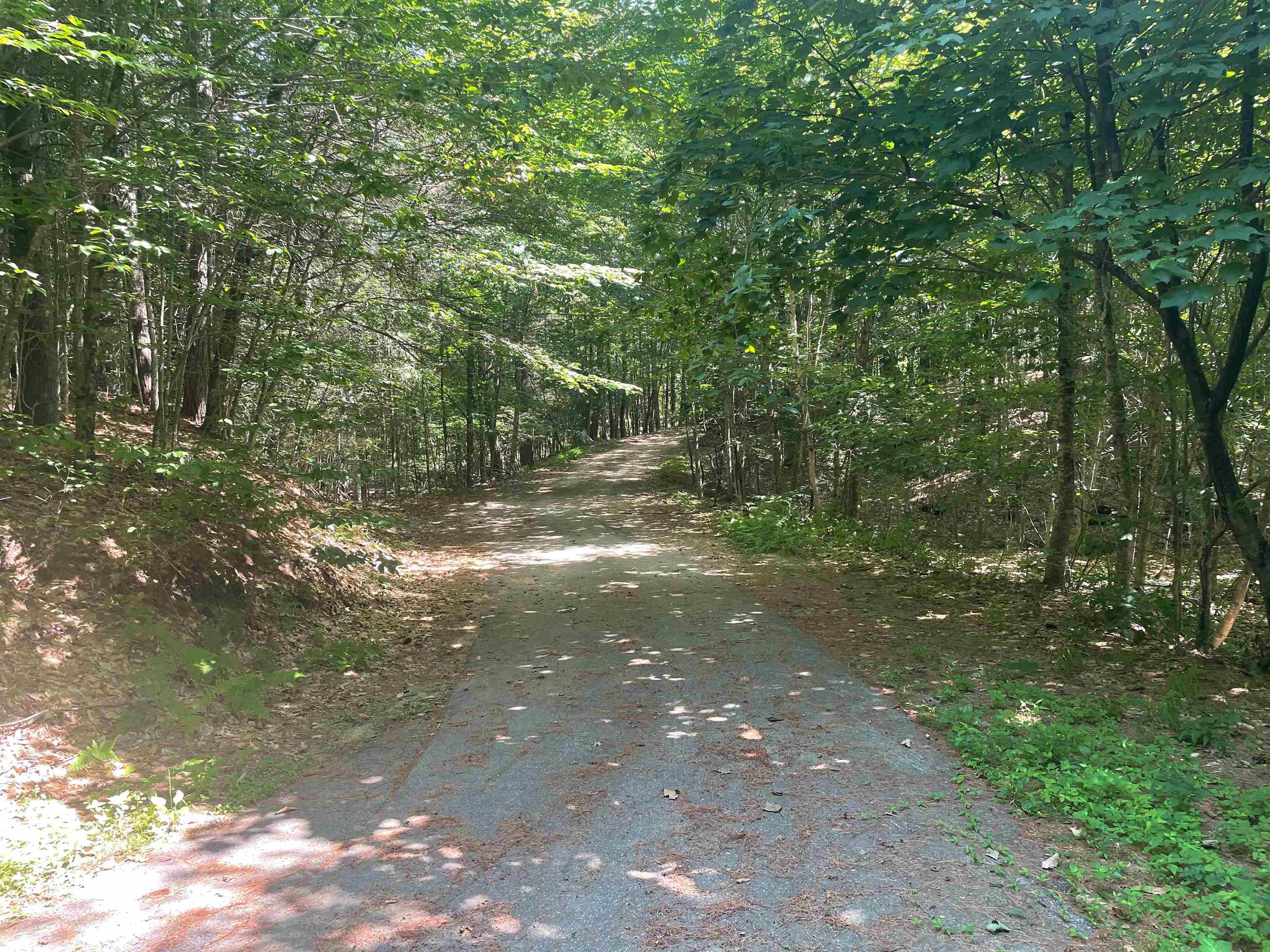 797 New Hampshire Route 3a Property Photo 38
