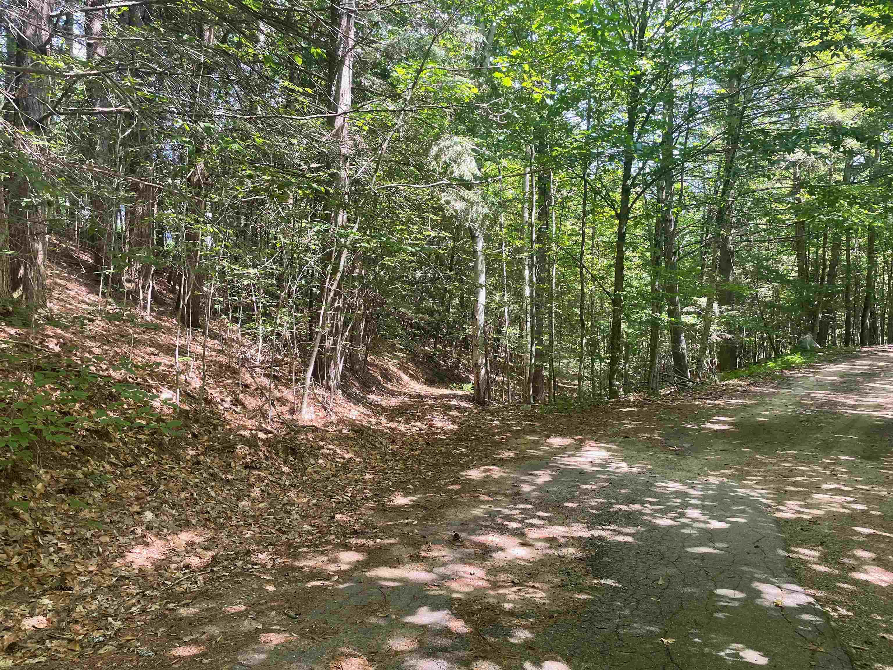 797 New Hampshire Route 3a Property Photo 39