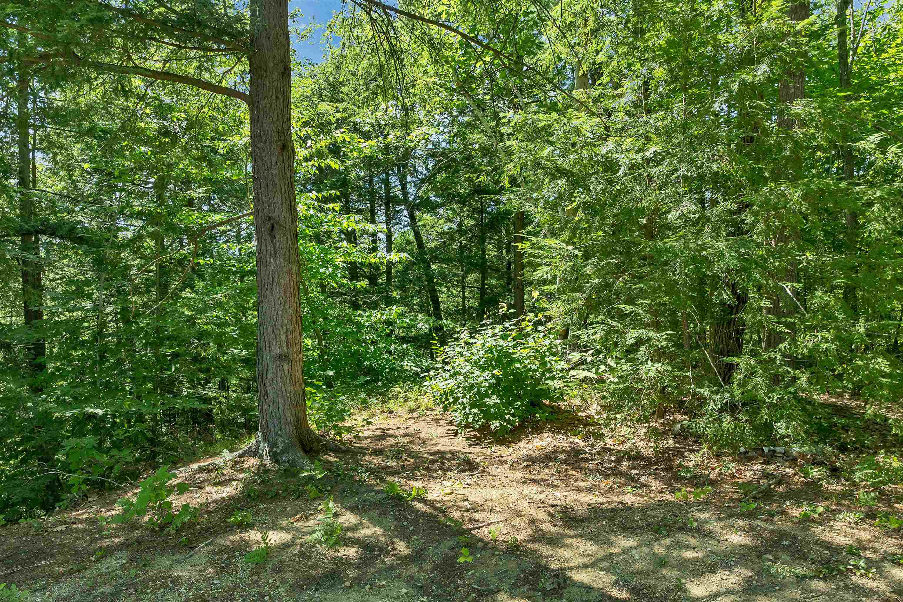 78 Old Granite Road Property Photo 11
