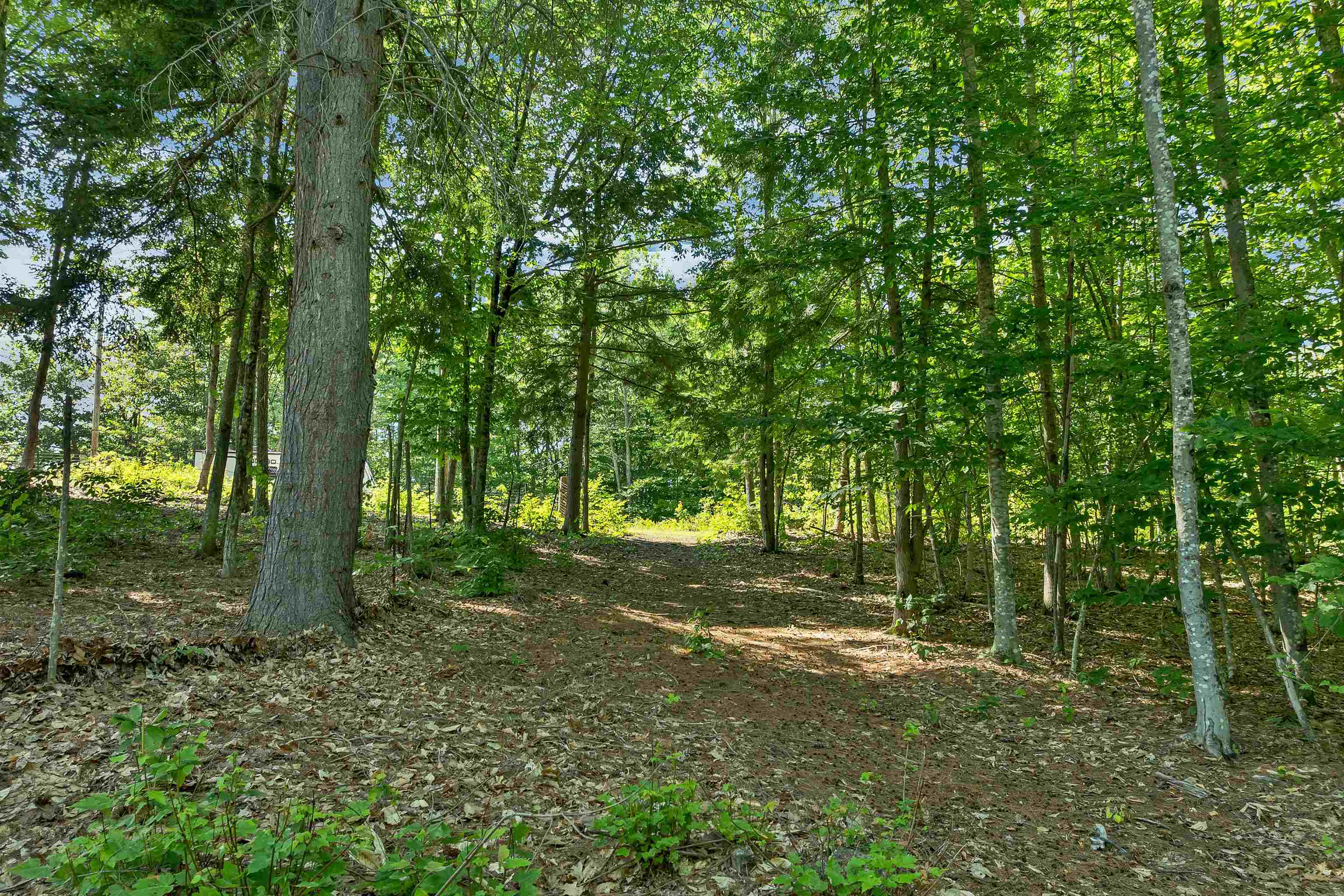 78 Old Granite Road Property Photo 18