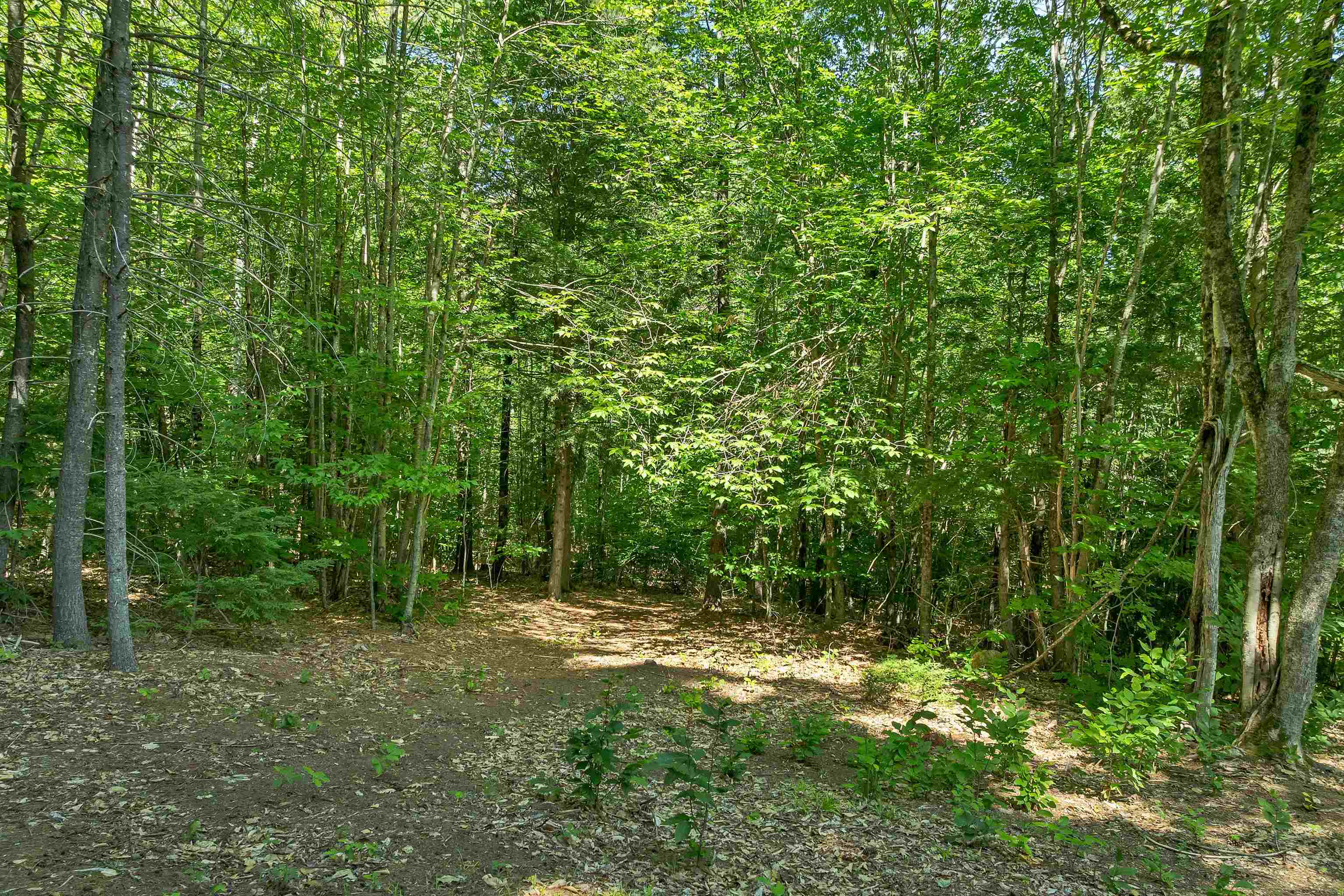 78 Old Granite Road Property Photo 19