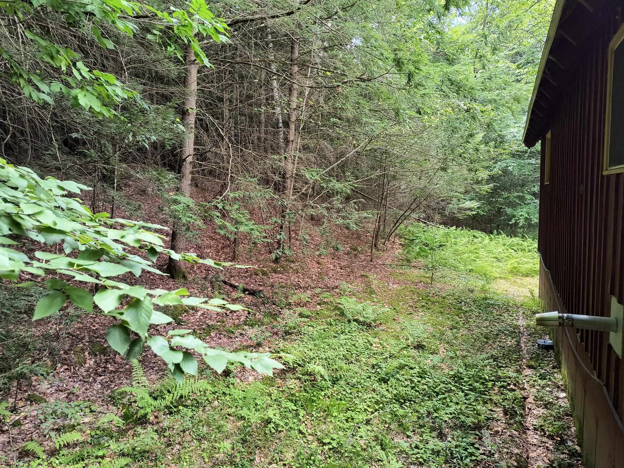 55 Hallwood Drive Property Photo 31