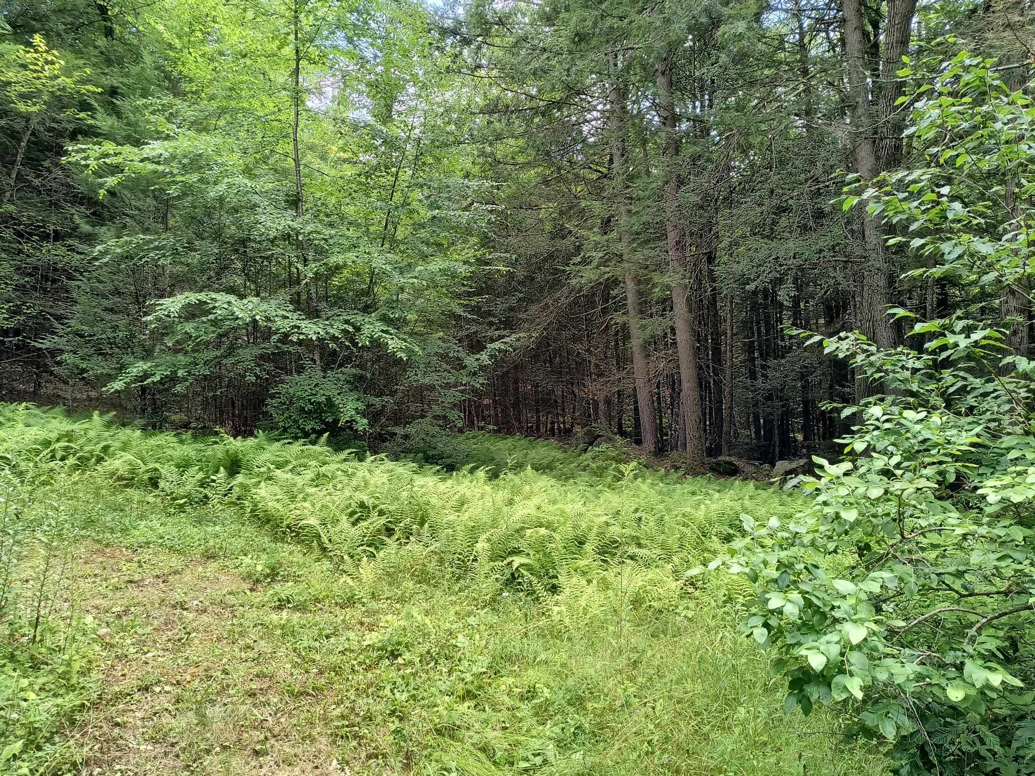 55 Hallwood Drive Property Photo 34