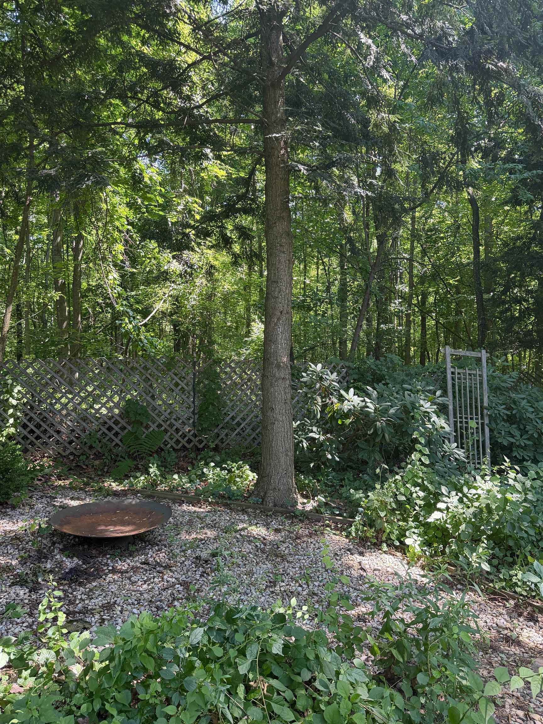54 Muirfield Road Property Photo 46