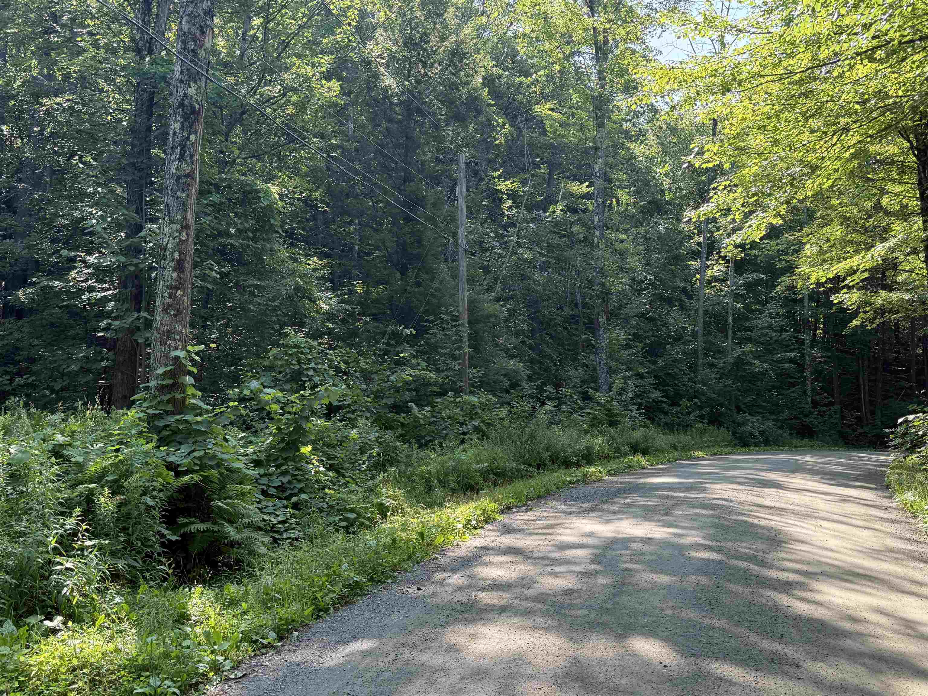 0 Stickney Brook Road Property Photo 1