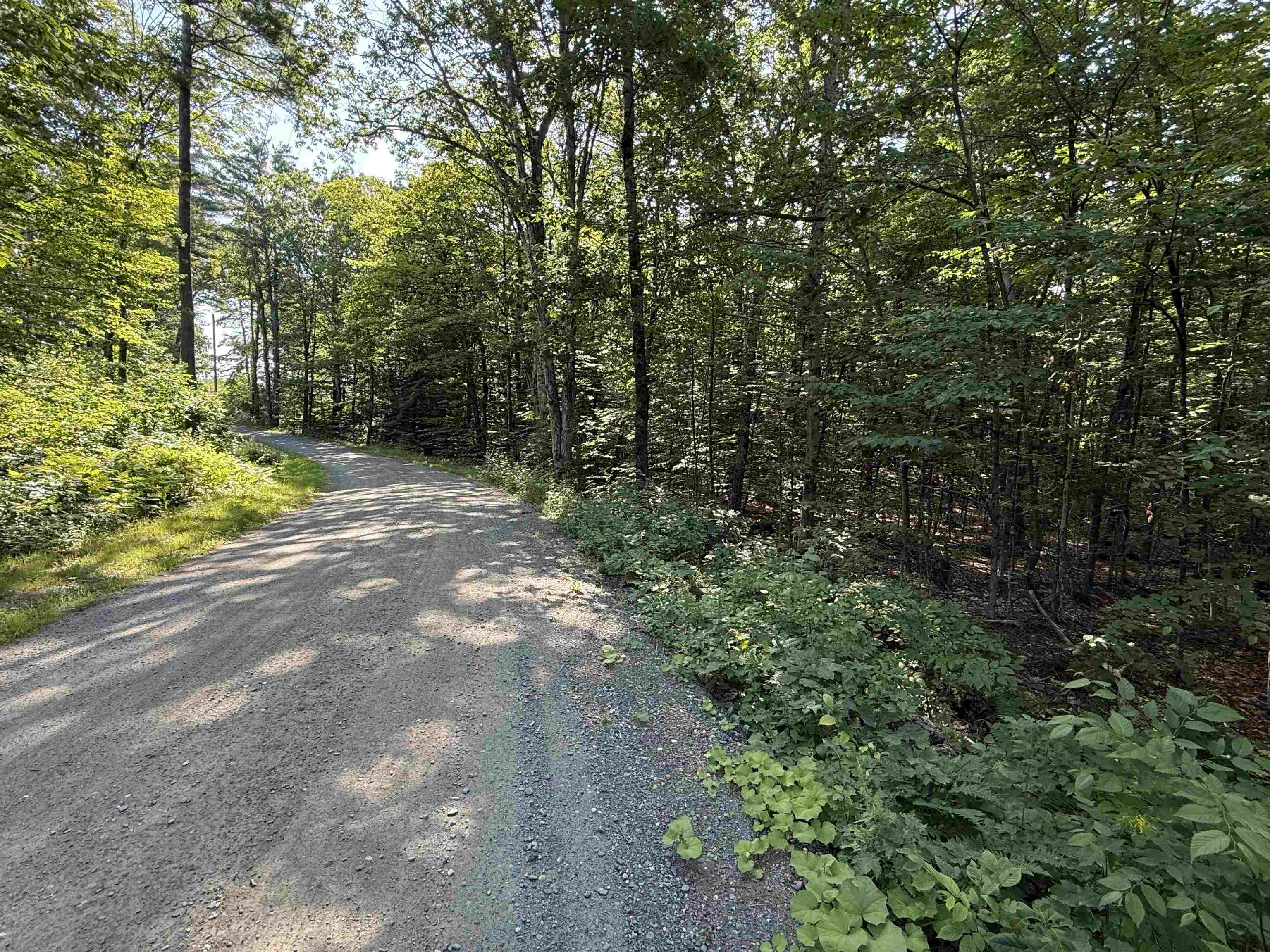 0 Stickney Brook Road Property Photo 3