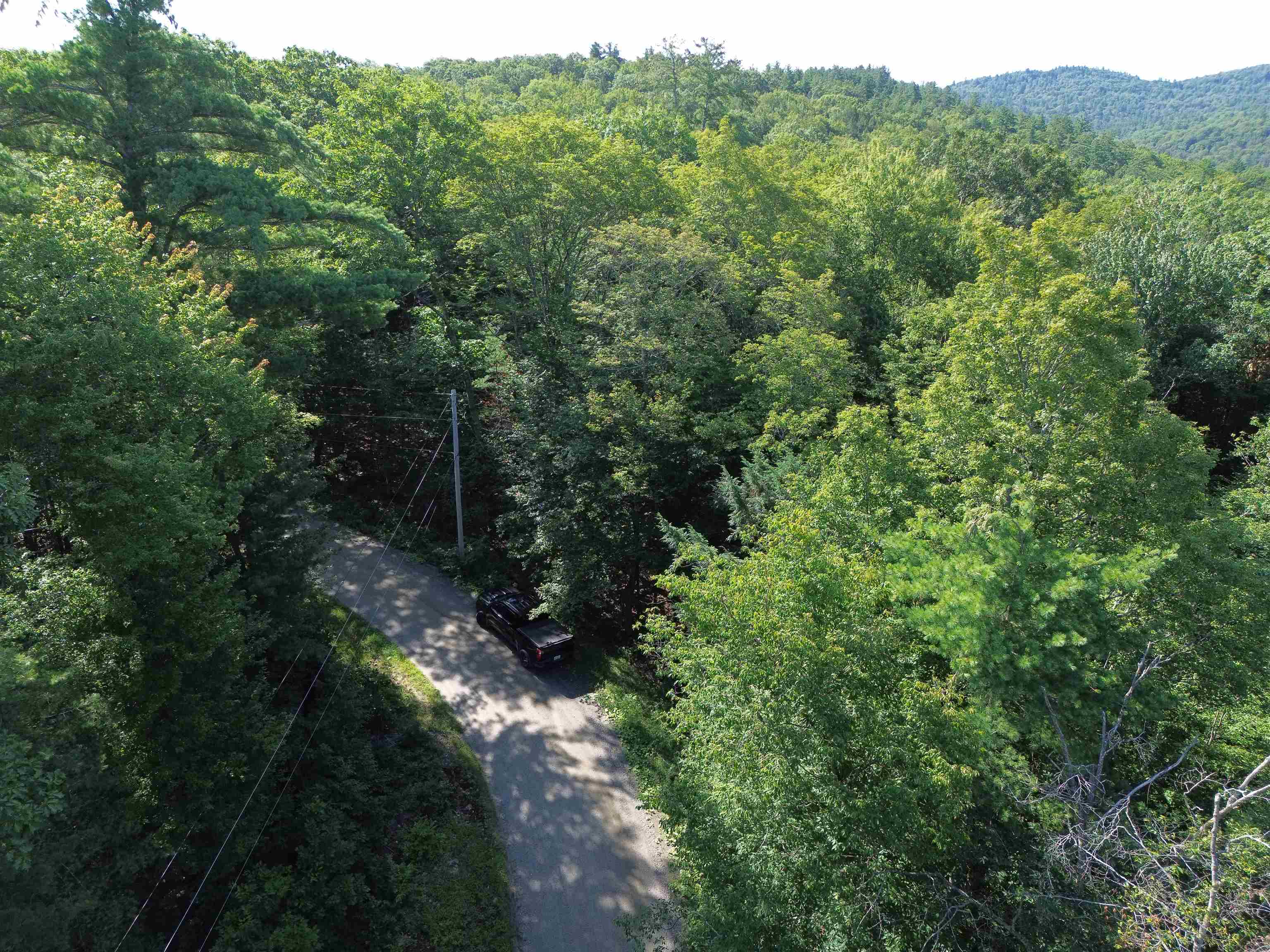 0 Stickney Brook Road Property Photo 4