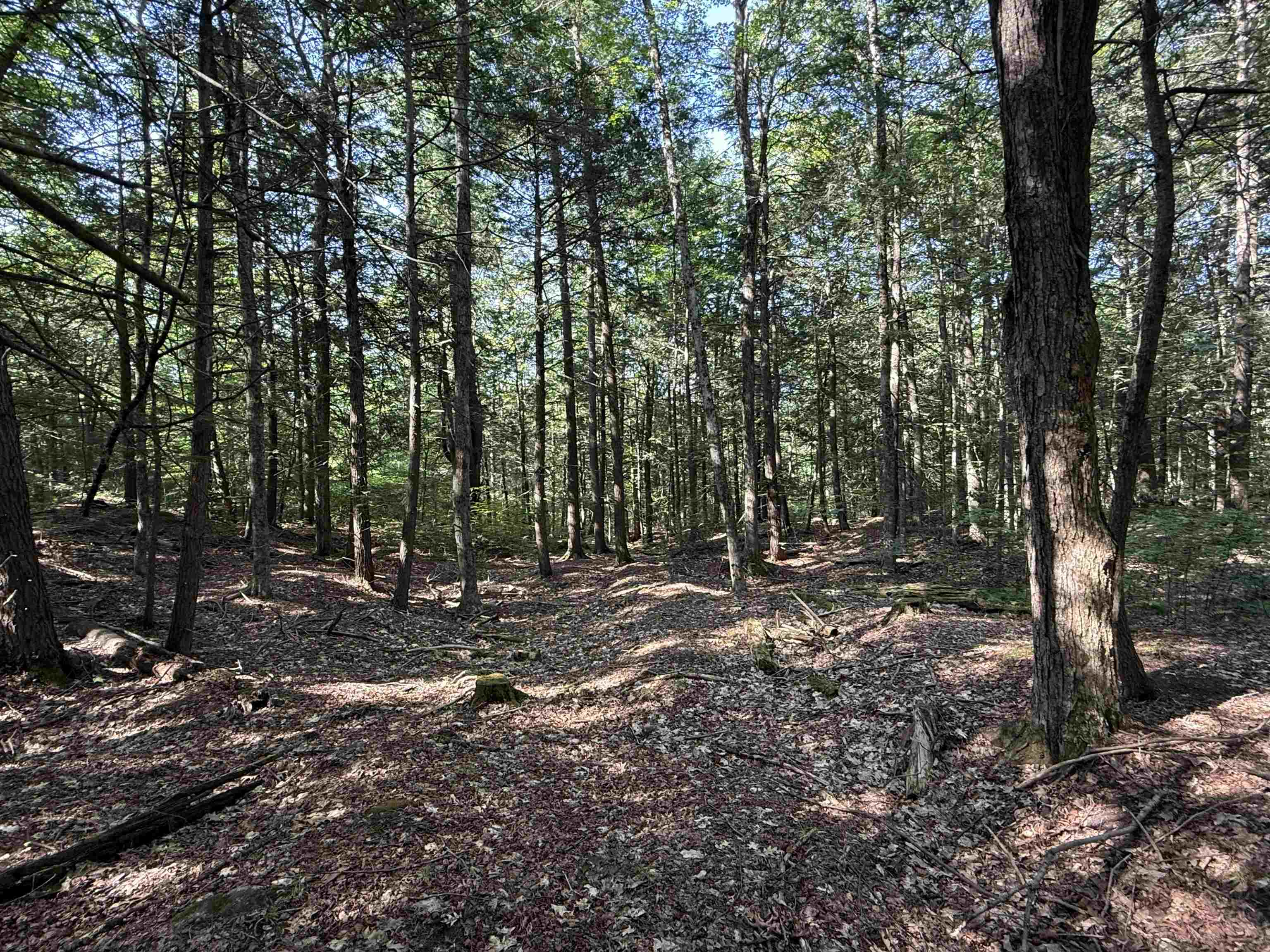 0 Stickney Brook Road Property Photo 6