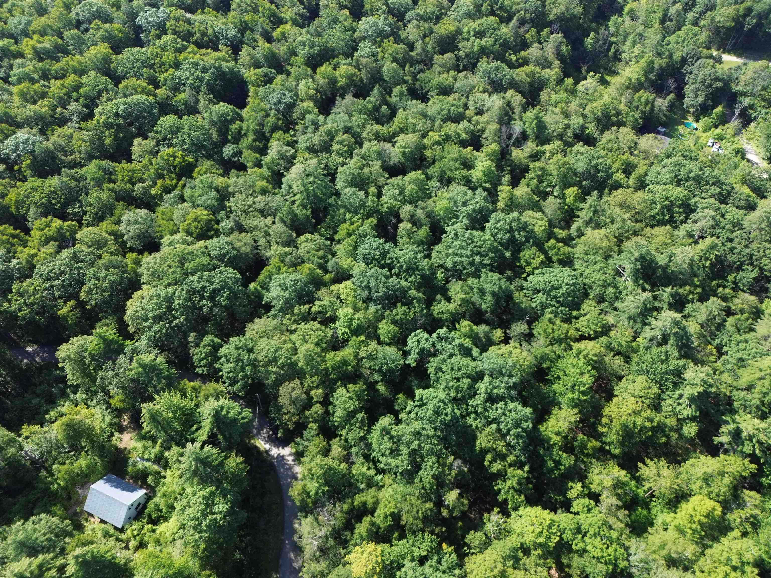 0 Stickney Brook Road Property Photo 8