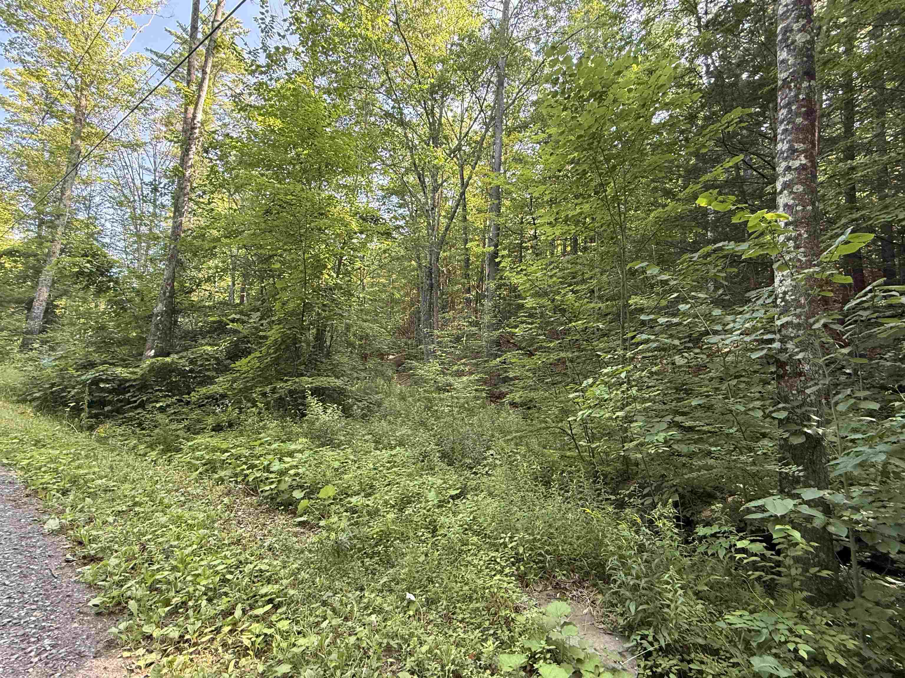 0 Stickney Brook Road Property Photo 9