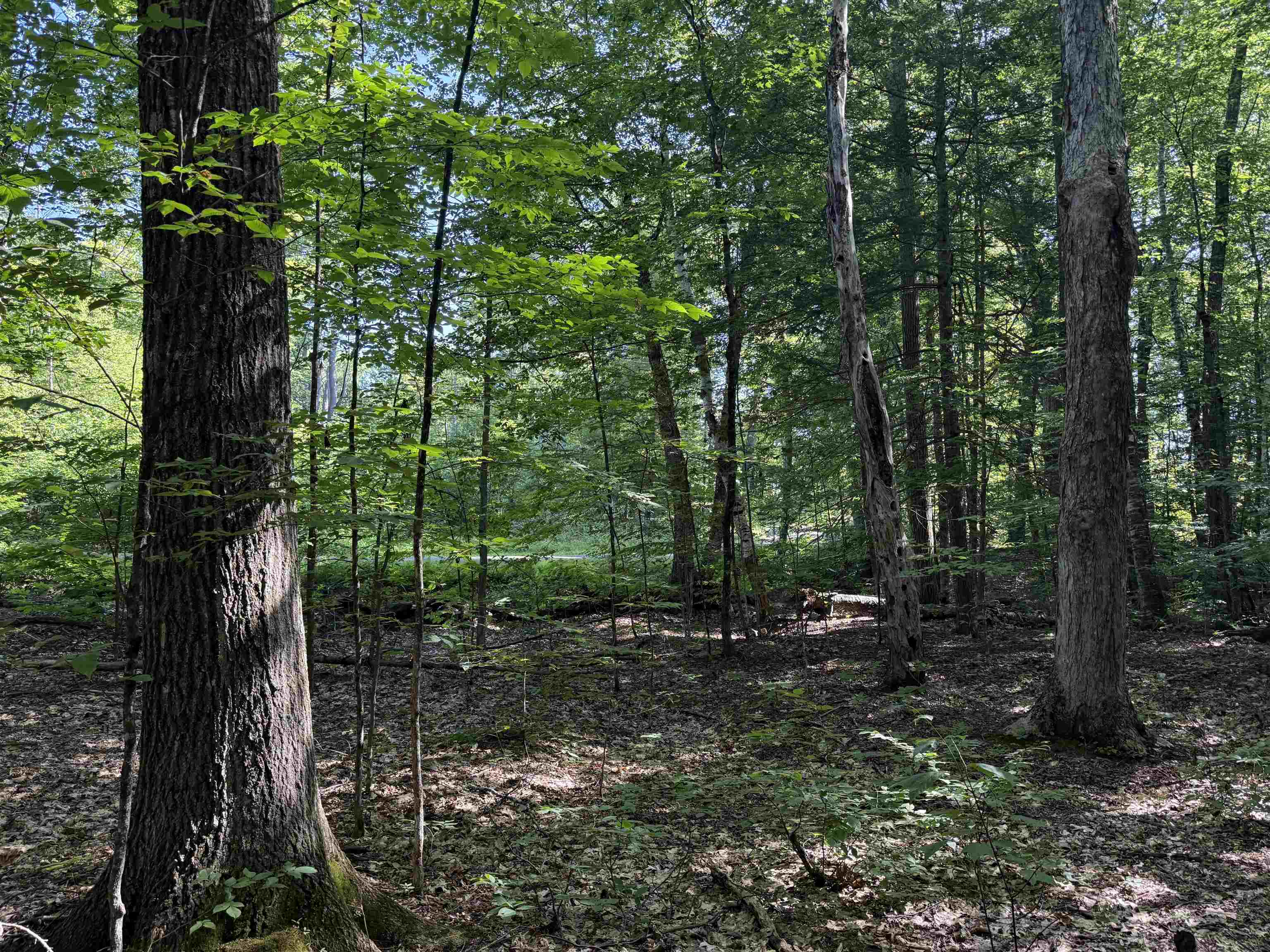 0 Stickney Brook Road Property Photo 10